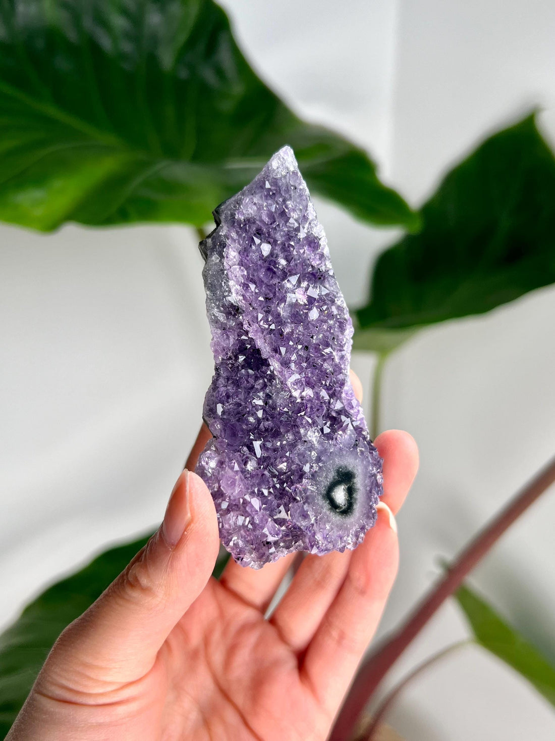 Grade AA Natural Amethyst Flower Stalactite from Uruguay – Unique Formation, High-Energy Healing Crystal - US10, 117g