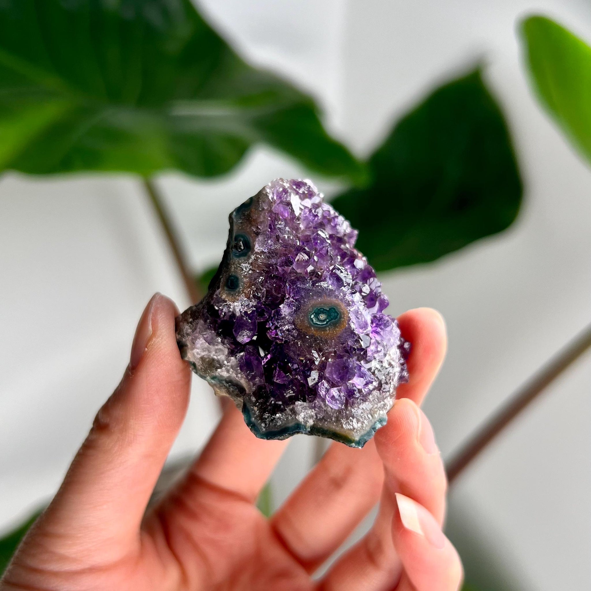 Grade AA Natural Amethyst Flower Stalactite from Uruguay – Unique Formation, High-Energy Healing Crystal - US11, 54g