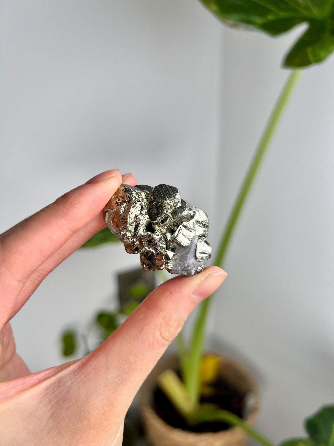 Grade AA Natural Pyrite with Quartz from Peru – Protection Stone, Solar Plexus, Wealth Manifestation PRP24, 52g