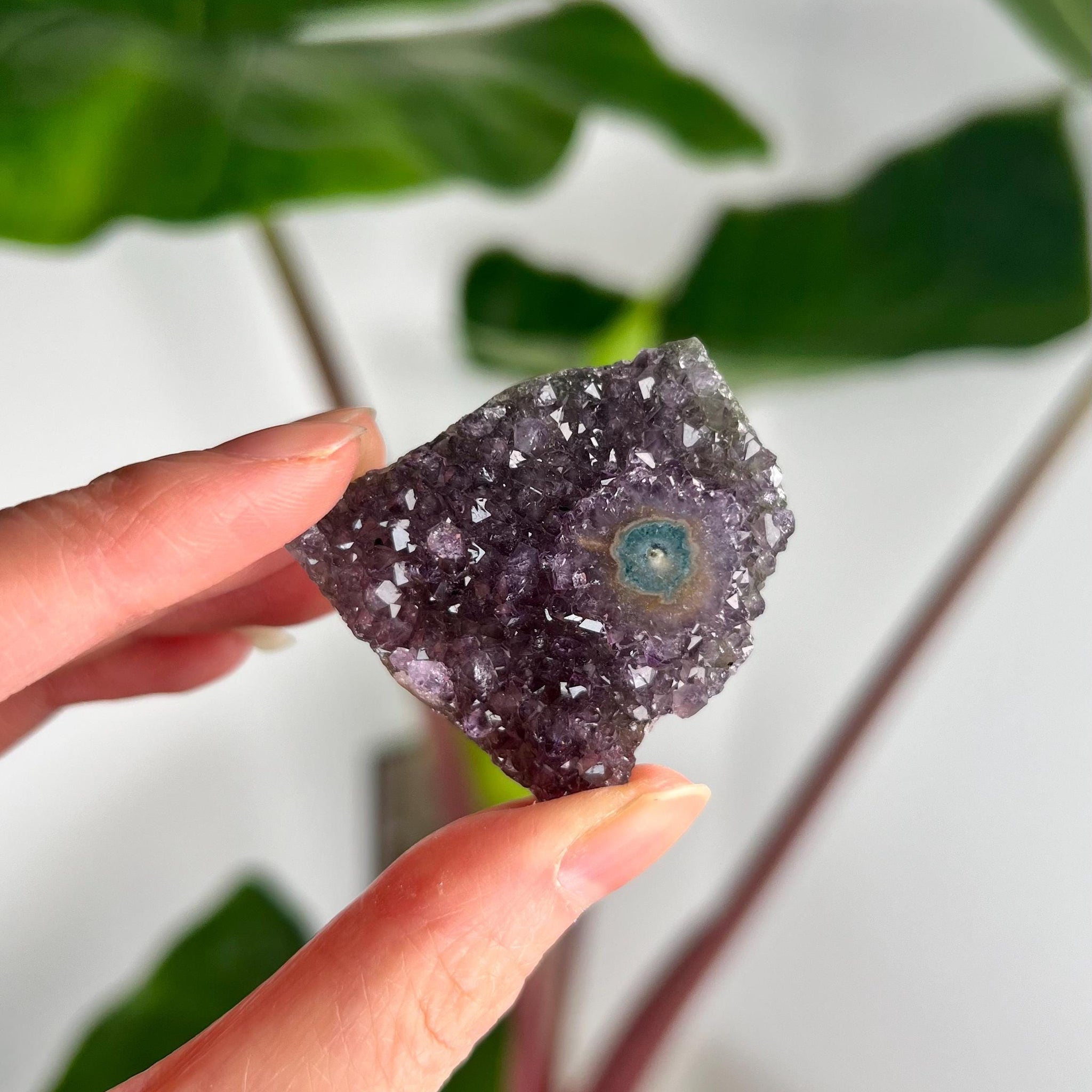 Grade AA Natural Amethyst Flower Stalactite from Uruguay – Unique Formation, High-Energy Healing Crystal - US14, 21g