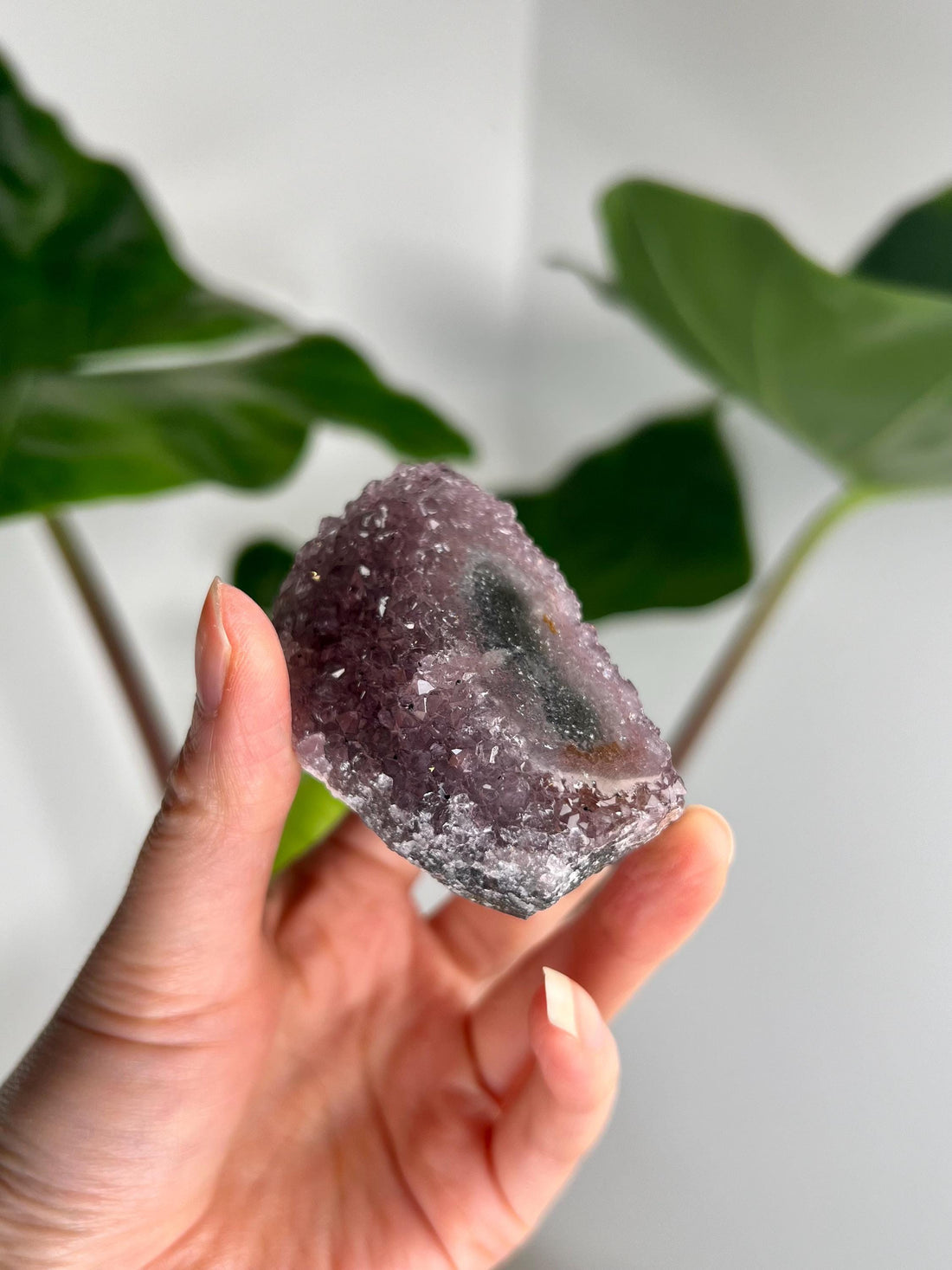 Grade A Natural Amethyst Flower Stalactite from Uruguay – Unique Formation, High-Energy Healing Crystal - US18, 94g