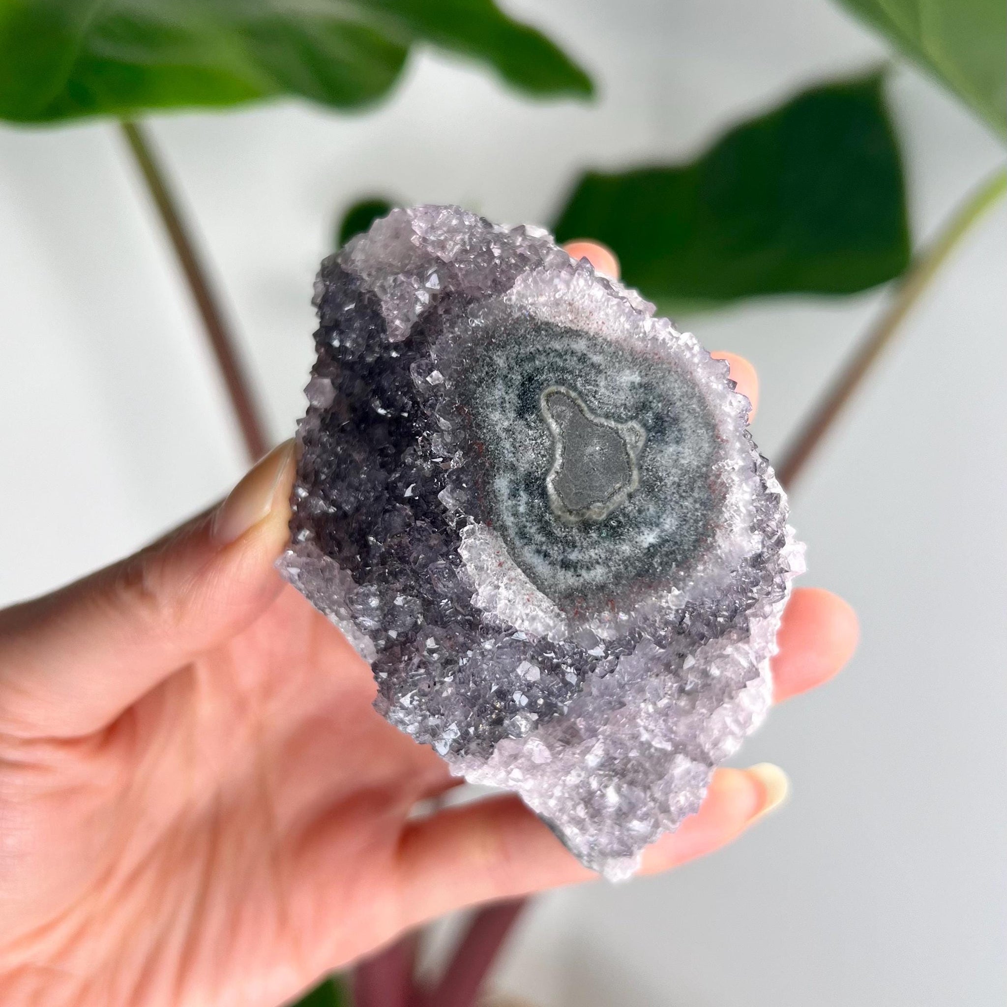 Grade AA Natural Amethyst Flower Stalactite from Uruguay – Unique Formation, High-Energy Healing Crystal - US21, 224g