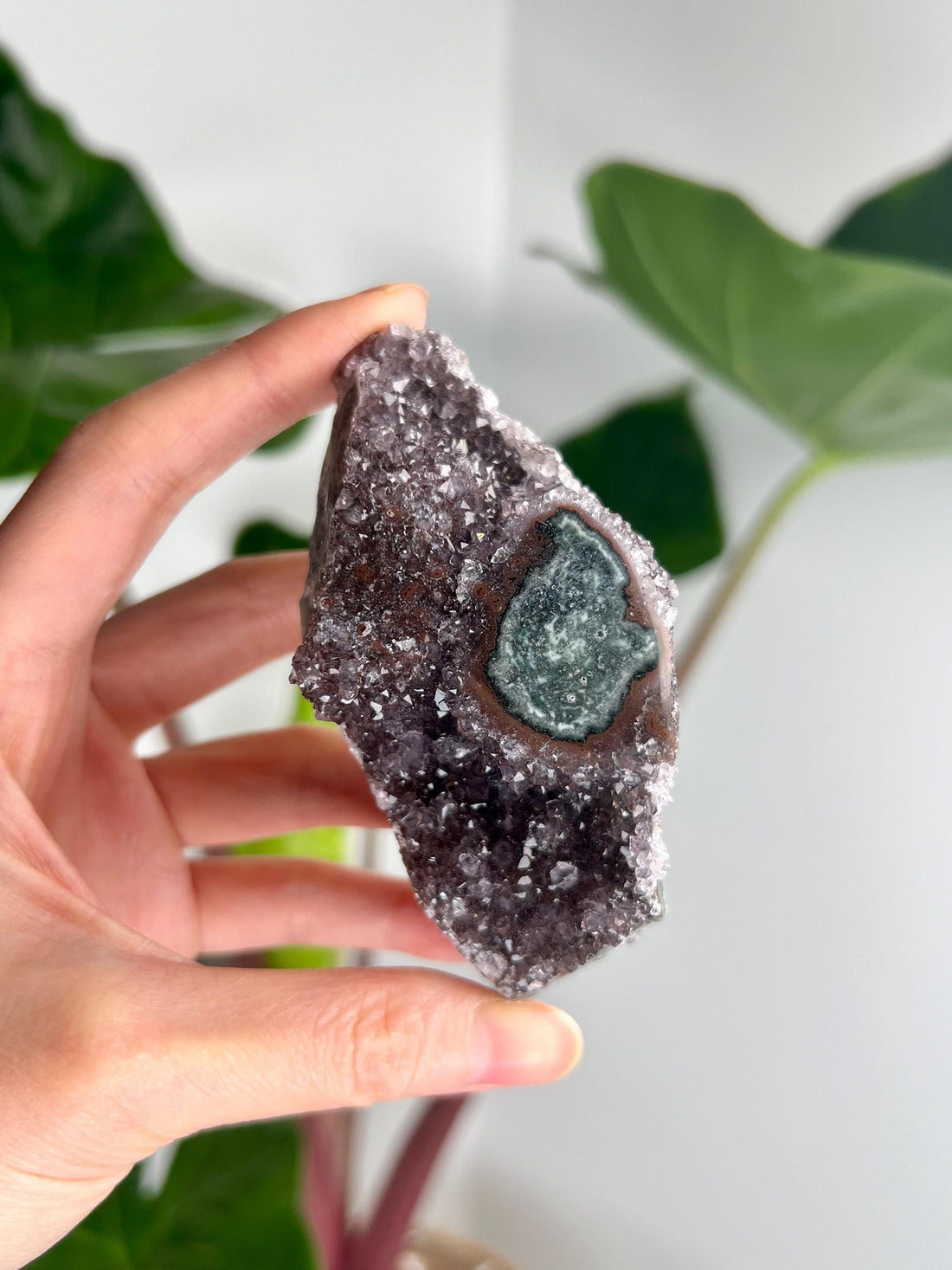 Grade AA Natural Amethyst Flower Stalactite from Uruguay – Unique Formation, High-Energy Healing Crystal - US23, 173g