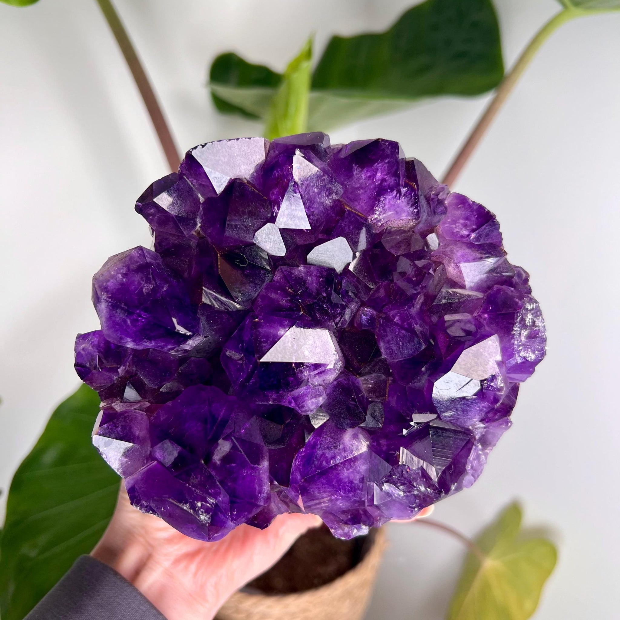 Natural Amethyst Open Geode Sphere with Rutile Phantom, Agate, Quartz, and Jasper –  2.114kg Discounted for minor injury
