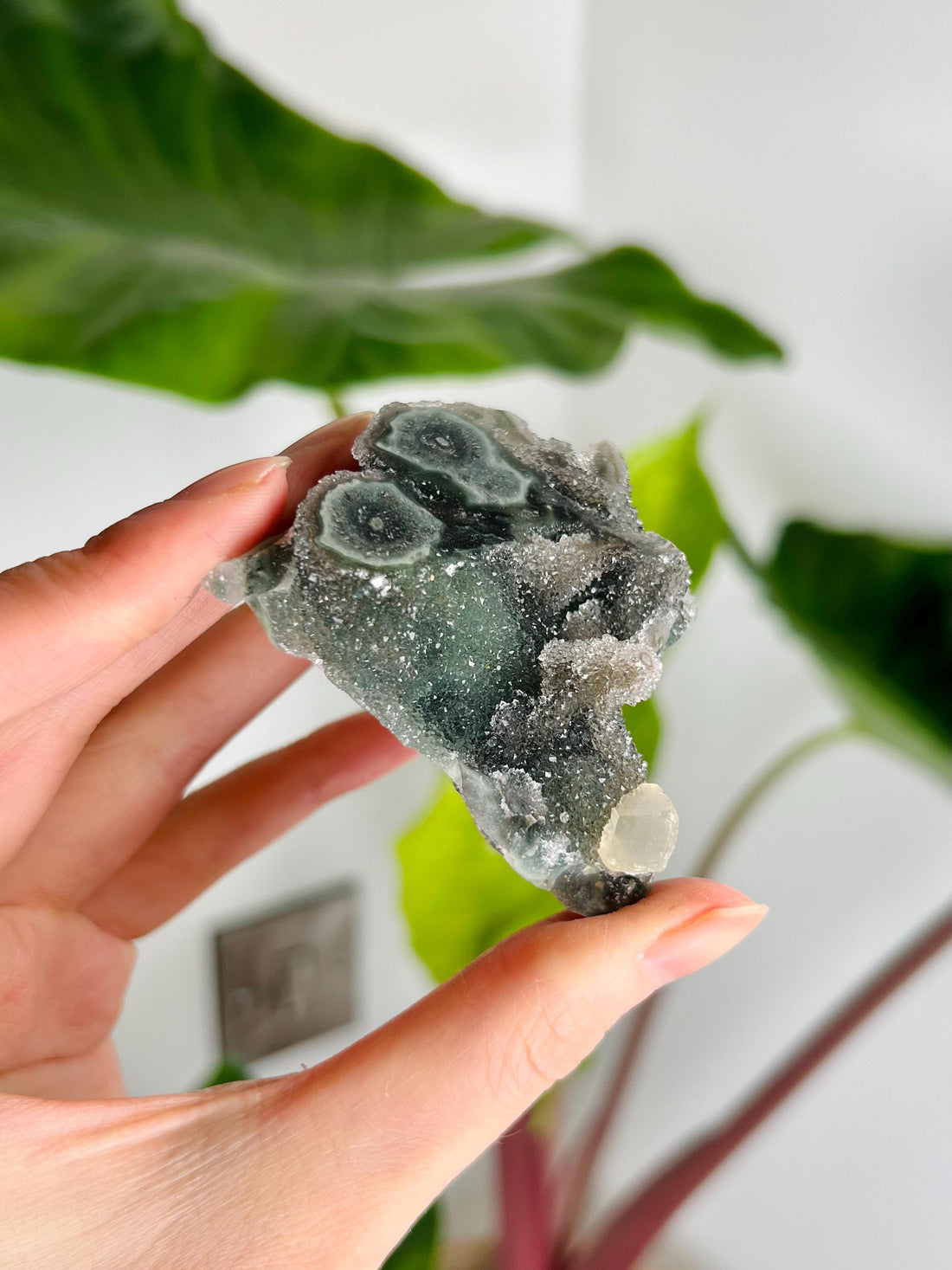 Grade AA Natural Green Jasper Druzy Stalactite Eye with Calcite Cube from Uruguay – Rainbow Amethyst, Heart Chakra, US26,107g