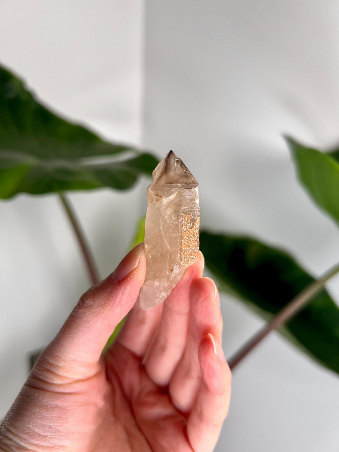 Grade AA Natural Adaptogenic BG3 Citrine Scepter Specimen - with smoky phantom and iron inclusion from Piaui, Brazil ACC21, 26g