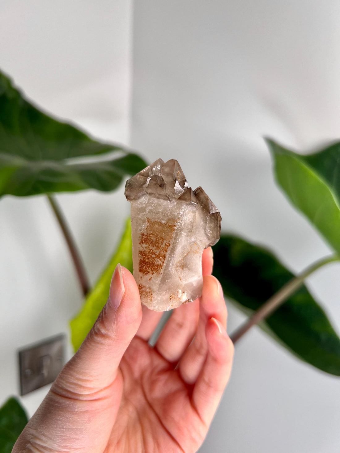 Grade AA Natural Adaptogenic BG3 Citrine Scepter Specimen with KEY - with smoky phantom and iron inclusion from Piaui, Brazil ACC26, 64g