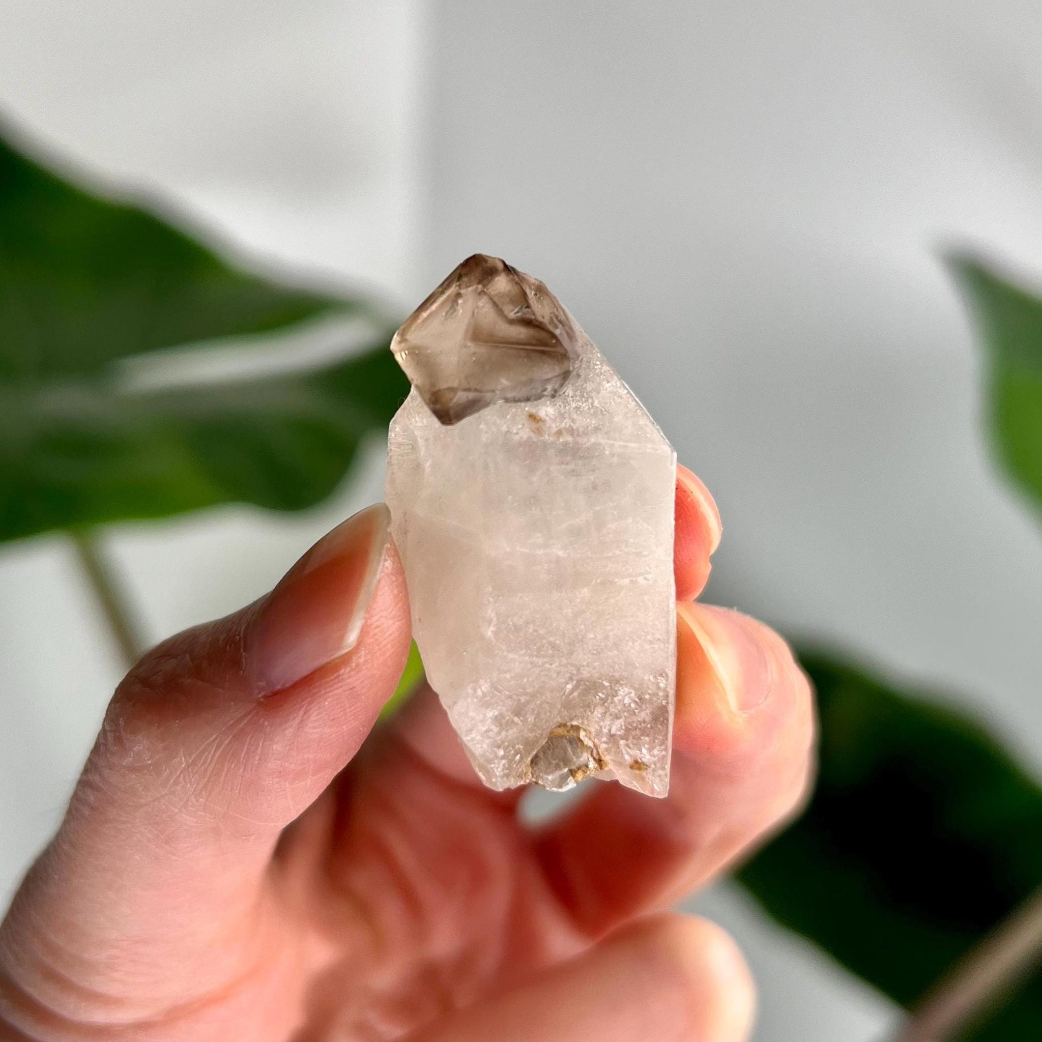 Grade AA Natural Adaptogenic BG3 Citrine Scepter Specimen with Mica - with smoky phantom and iron inclusion from Piaui, Brazil ACC42, 20g
