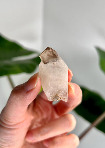 Grade AA Natural Adaptogenic BG3 Citrine Scepter Specimen with Mica - with smoky phantom and iron inclusion from Piaui, Brazil ACC42, 20g