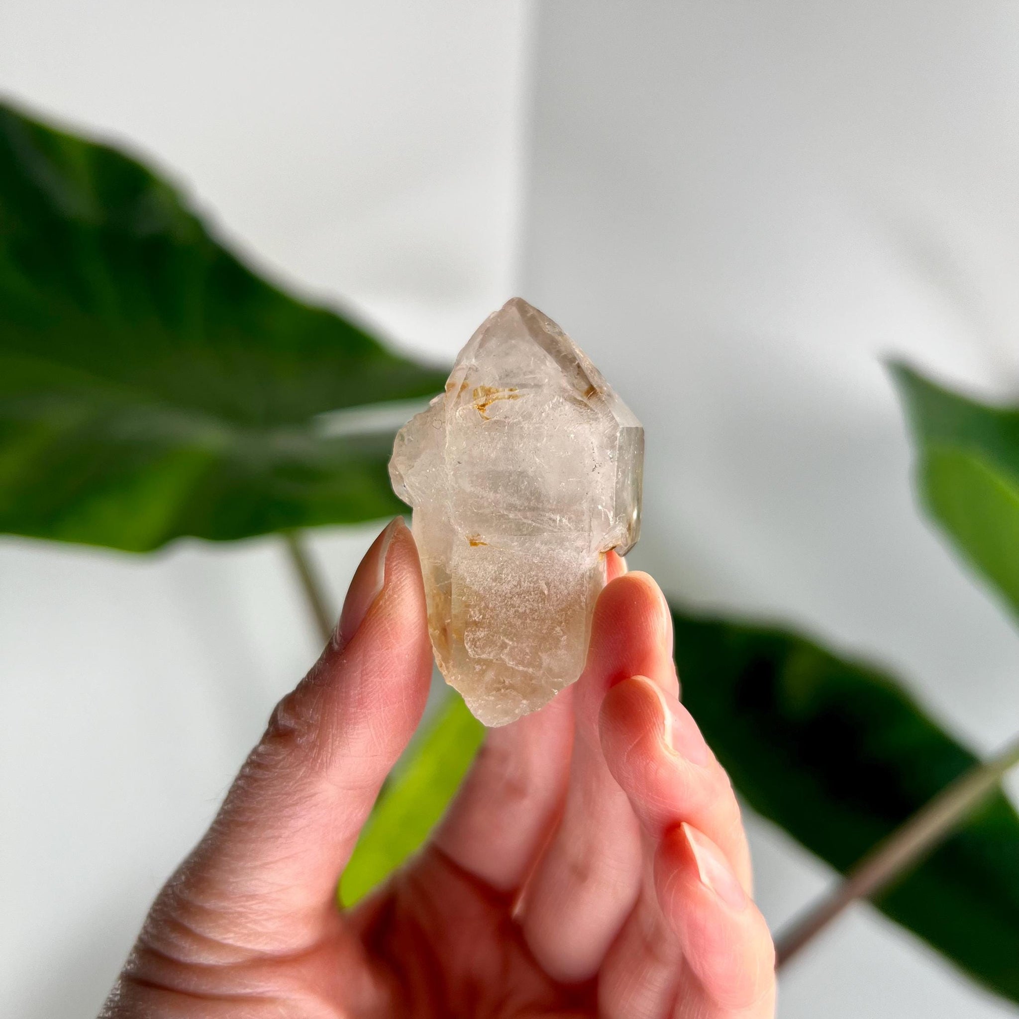 Grade AA Natural Adaptogenic BG3 Citrine Scepter Specimen - with smoky phantom and iron inclusion from Piaui, Brazil ACC45, 34g