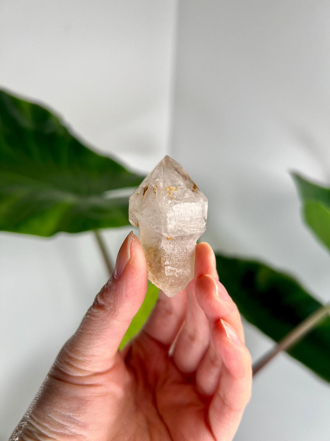 Grade AA Natural Adaptogenic BG3 Citrine Scepter Specimen - with smoky phantom and iron inclusion from Piaui, Brazil ACC45, 34g