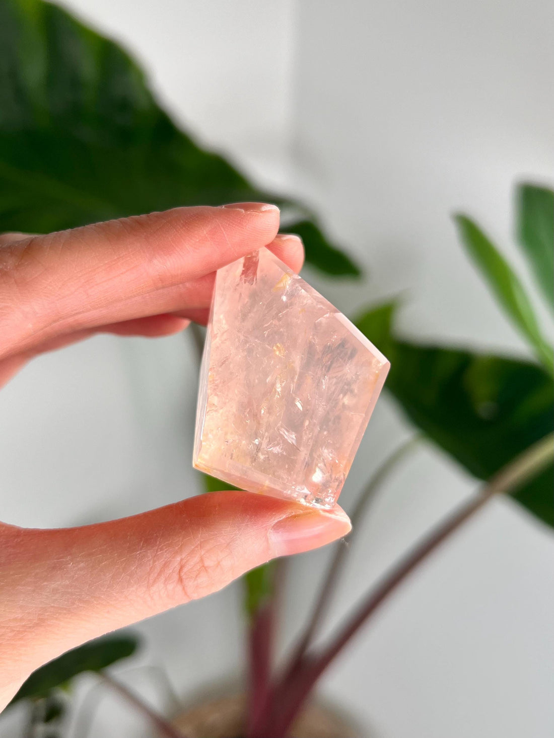 Grade AA Golden Healer Rose Quartz Freeform with Rainbow – Heart Healing, Universal Love, and Emotional Balance, GRC78, 54g