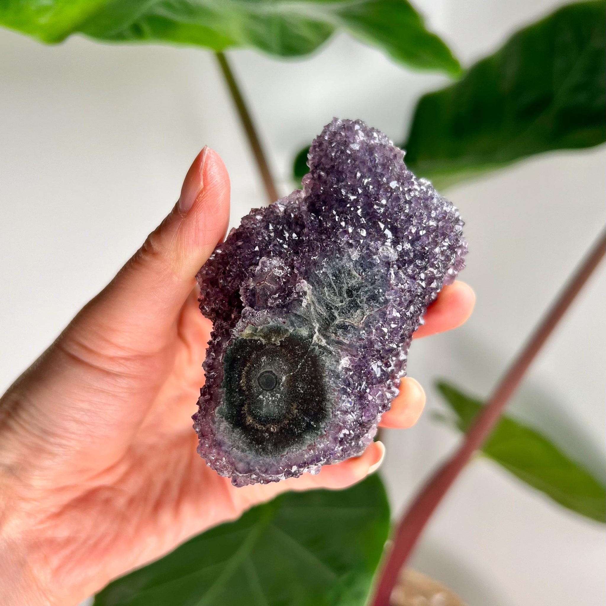 Grade AA Natural Amethyst Flower Stalactite from Uruguay – Unique Formation, High-Energy Healing Crystal - US01, 193g
