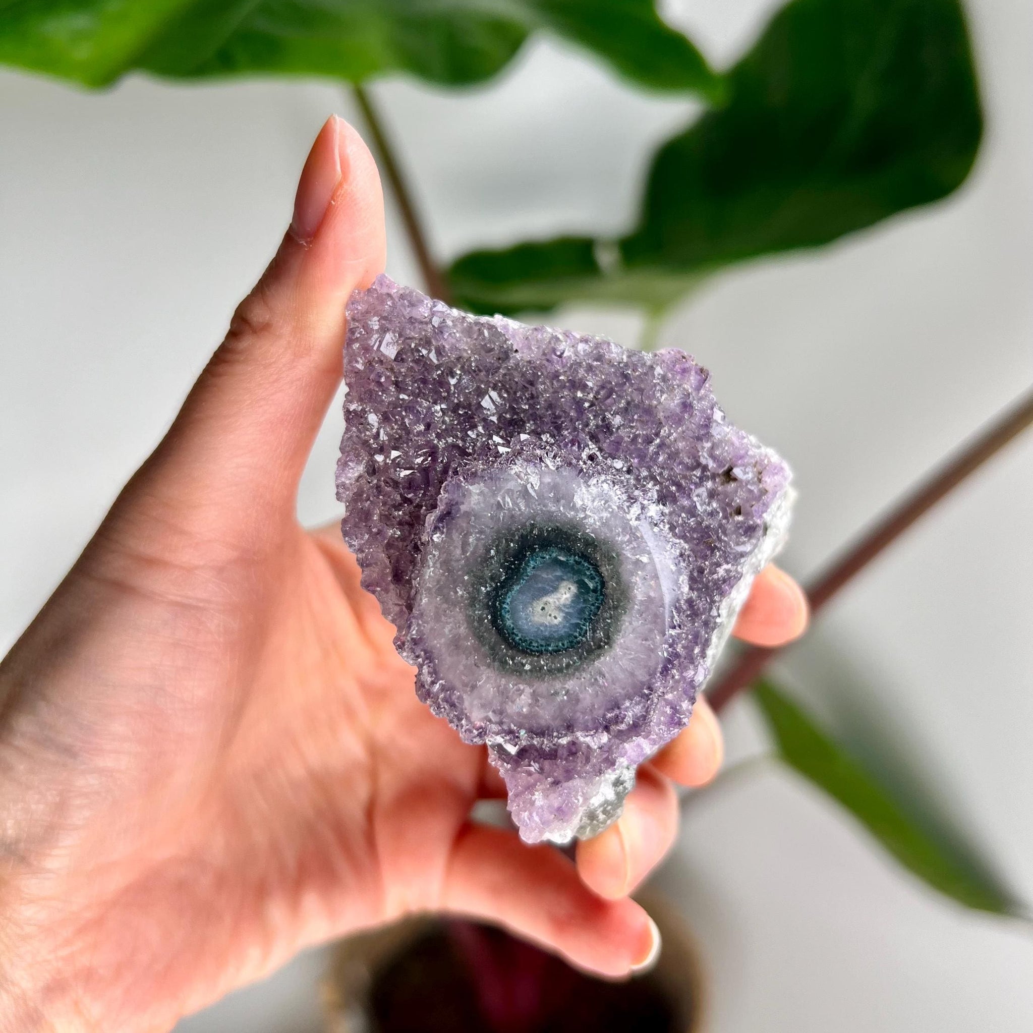 Grade AA Natural Amethyst Flower Stalactite from Uruguay – Unique Formation, High-Energy Healing Crystal - US07, 142g