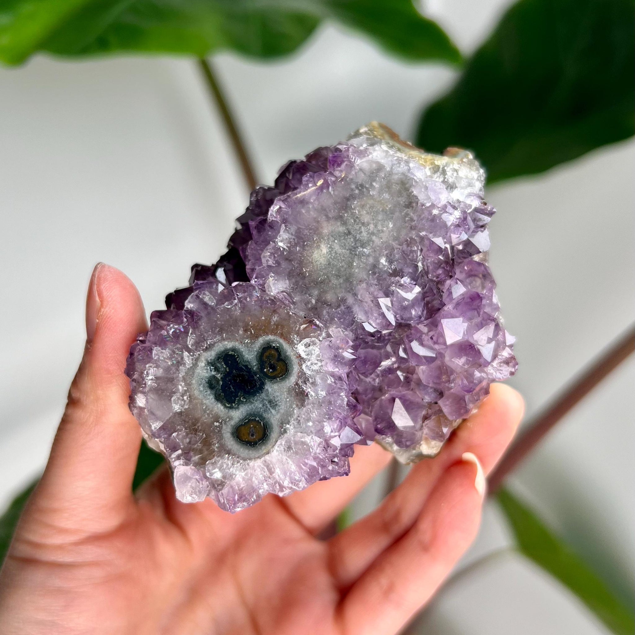 Grade AA Natural Amethyst Flower Stalactite from Uruguay – Unique Formation, High-Energy Healing Crystal - US08, 205g