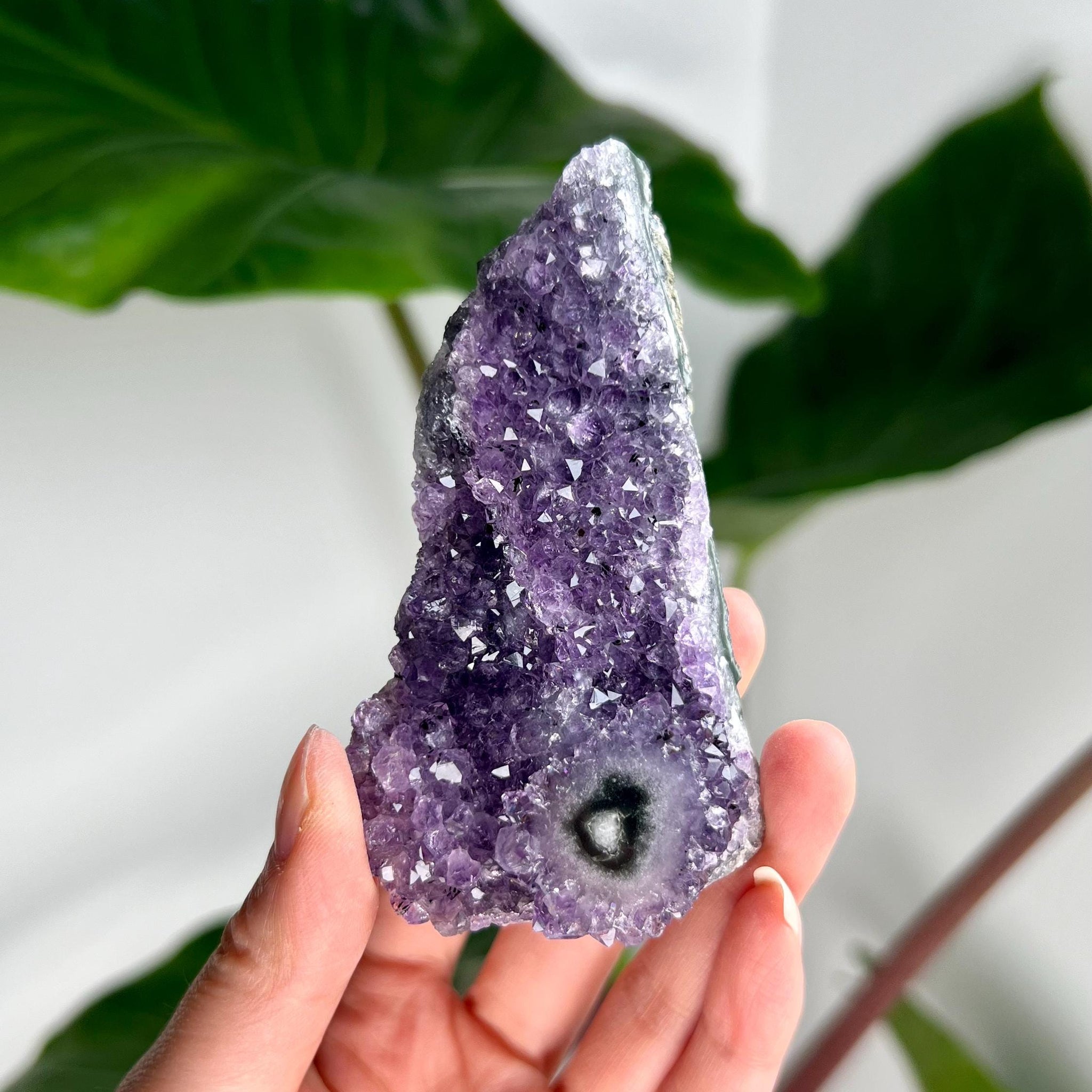 Grade AA Natural Amethyst Flower Stalactite from Uruguay – Unique Formation, High-Energy Healing Crystal - US10, 117g