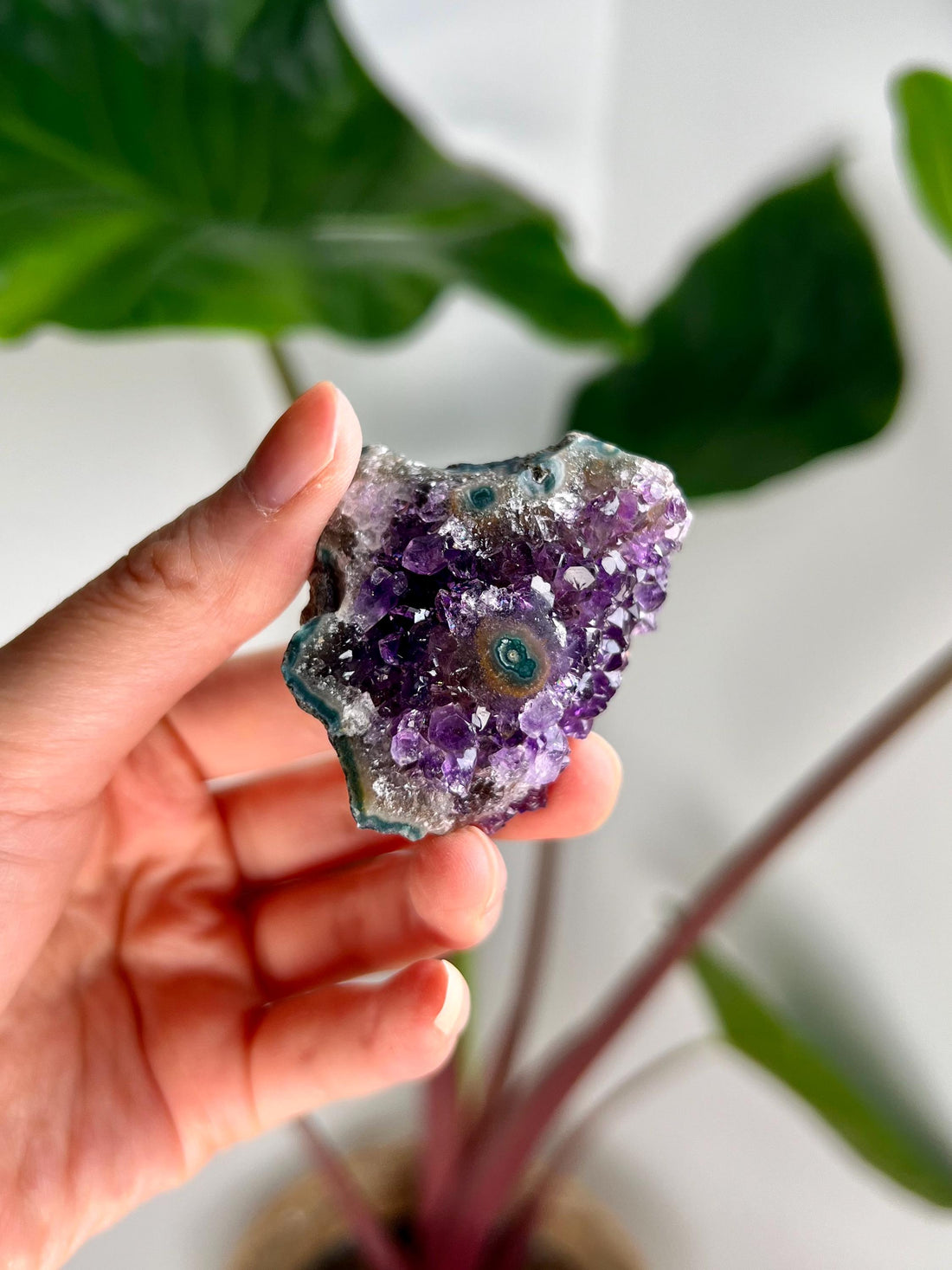 Grade AA Natural Amethyst Flower Stalactite from Uruguay – Unique Formation, High-Energy Healing Crystal - US11, 54g