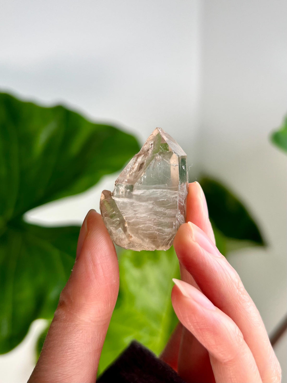 Grade AA 100% Natural Smoky Elestial Quartz - A Portal to Mystical Realms and Vibrant Healing 24g, EQC32