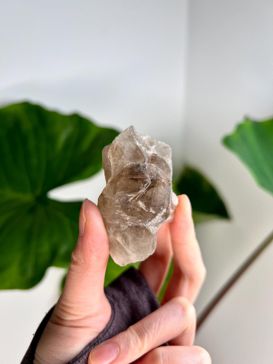 Grade AA 100% Natural Smoky Elestial Quartz - A Portal to Mystical Realms and Vibrant Healing 76g, EQC20