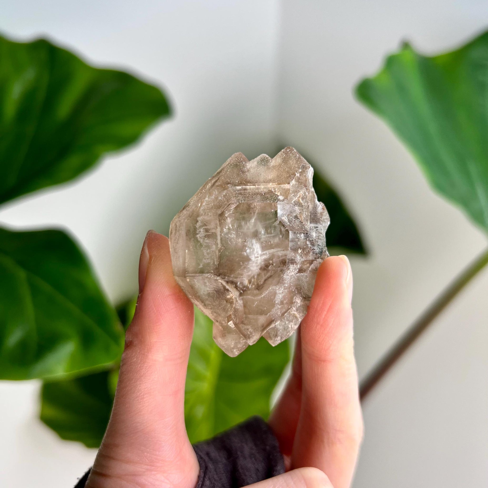 Grade AA 100% Natural Smoky Elestial Quartz - A Portal to Mystical Realms and Vibrant Healing 47g, EQC15