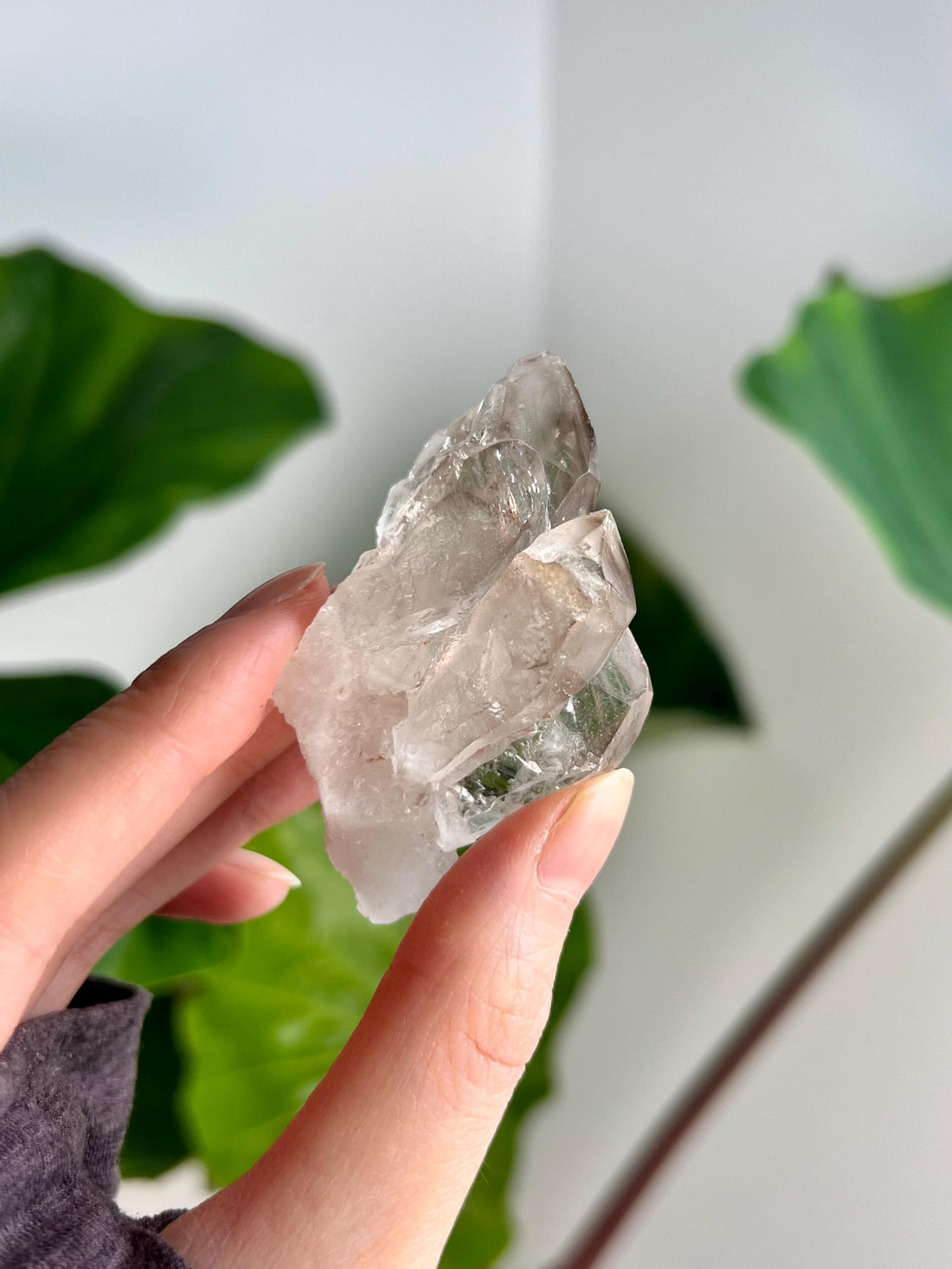 Grade AA 100% Natural Smoky Elestial Quartz - A Portal to Mystical Realms and Vibrant Healing 47g, EQC25