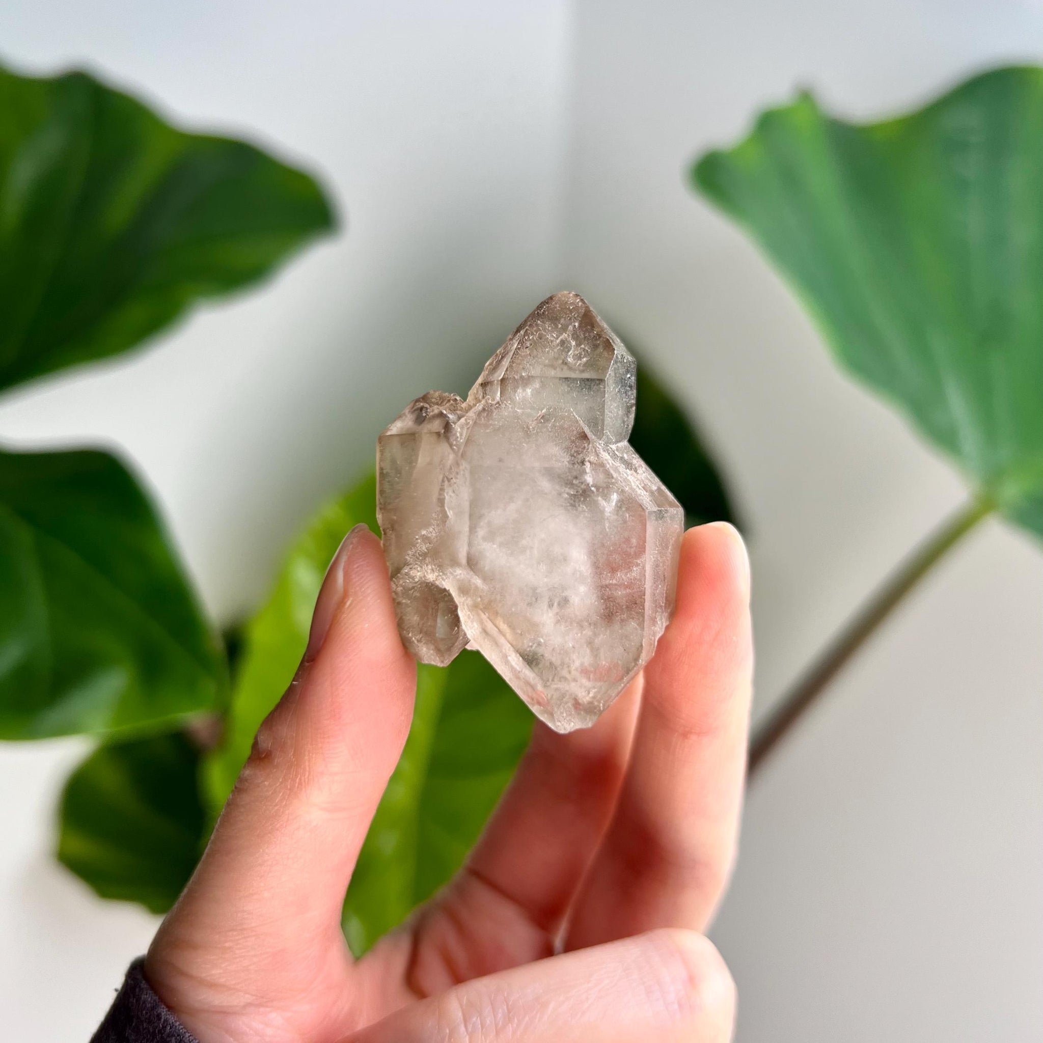 Grade AA 100% Natural Smoky Elestial Quartz - A Portal to Mystical Realms and Vibrant Healing 40g, EQC24