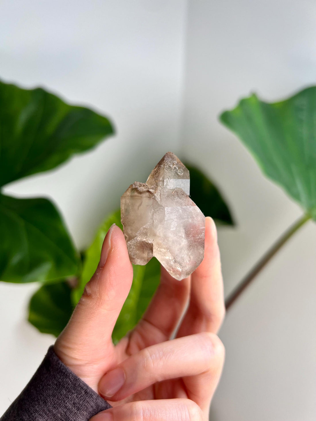 Grade AA 100% Natural Smoky Elestial Quartz - A Portal to Mystical Realms and Vibrant Healing 40g, EQC24