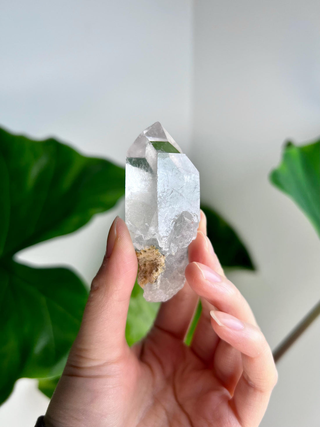 Grade AA Natural Clear Quartz Point with Chlorite - A Harmony of Healing and Protection CQC29, 70g