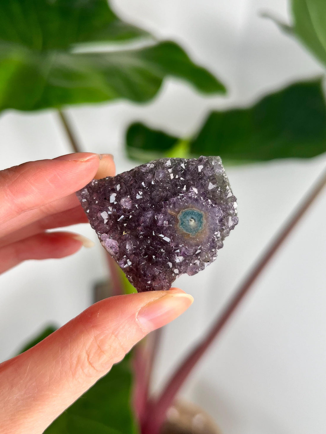 Grade AA Natural Amethyst Flower Stalactite from Uruguay – Unique Formation, High-Energy Healing Crystal - US14, 21g