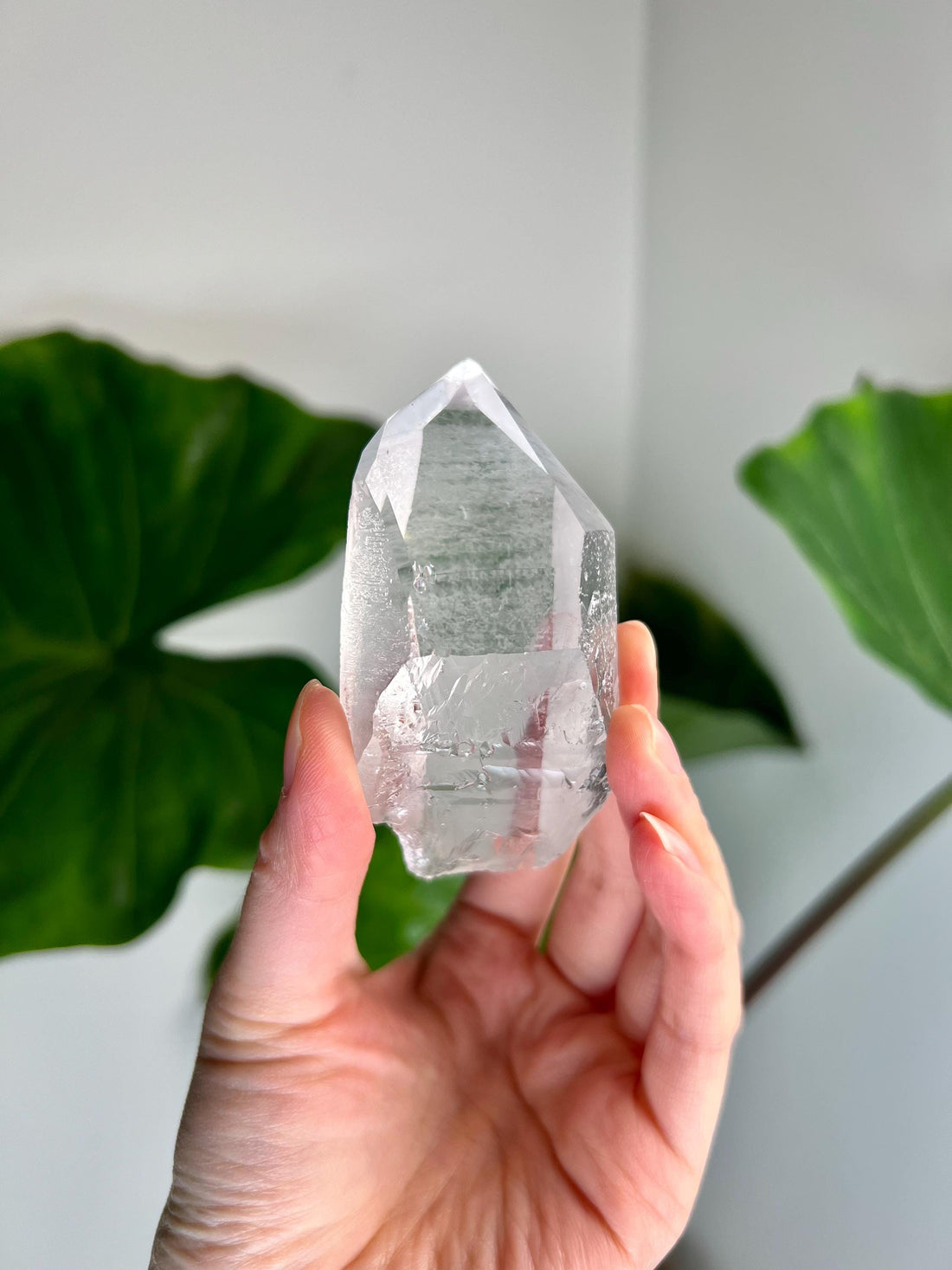 Grade AA Starbrary Quartz – Unique Glyphs, Record Keepers, and Galactic Wisdom, from Tomás Gonzaga, Minas Gerais, Brazil RQG02, 129g