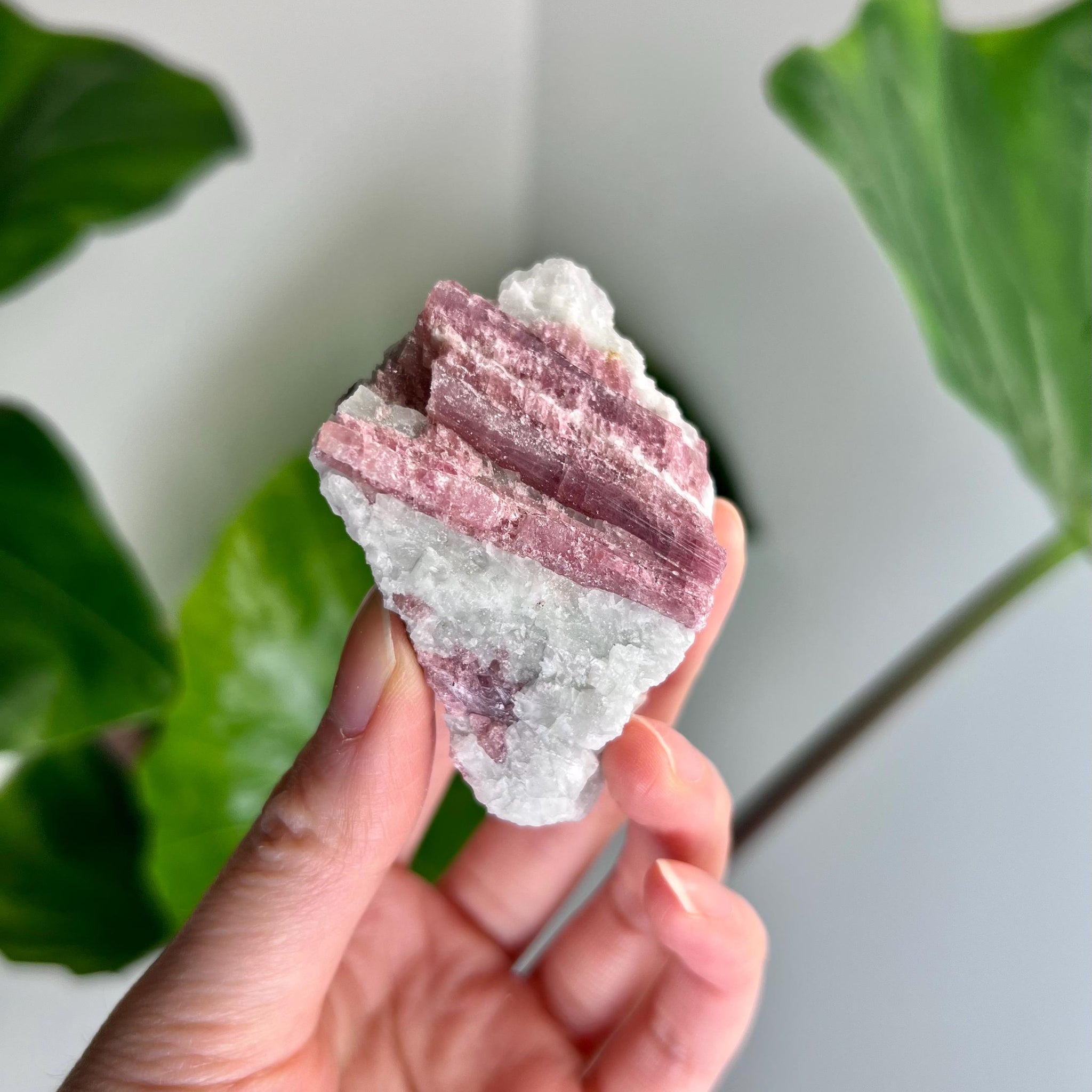 Grade A+ Natural Pink Tourmaline on Aquamarine,A Harmonious Blend of Love and Serenity PTC44, 73g