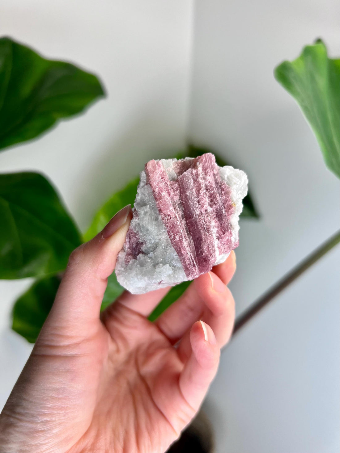 Grade A+ Natural Pink Tourmaline on Aquamarine,A Harmonious Blend of Love and Serenity PTC44, 73g