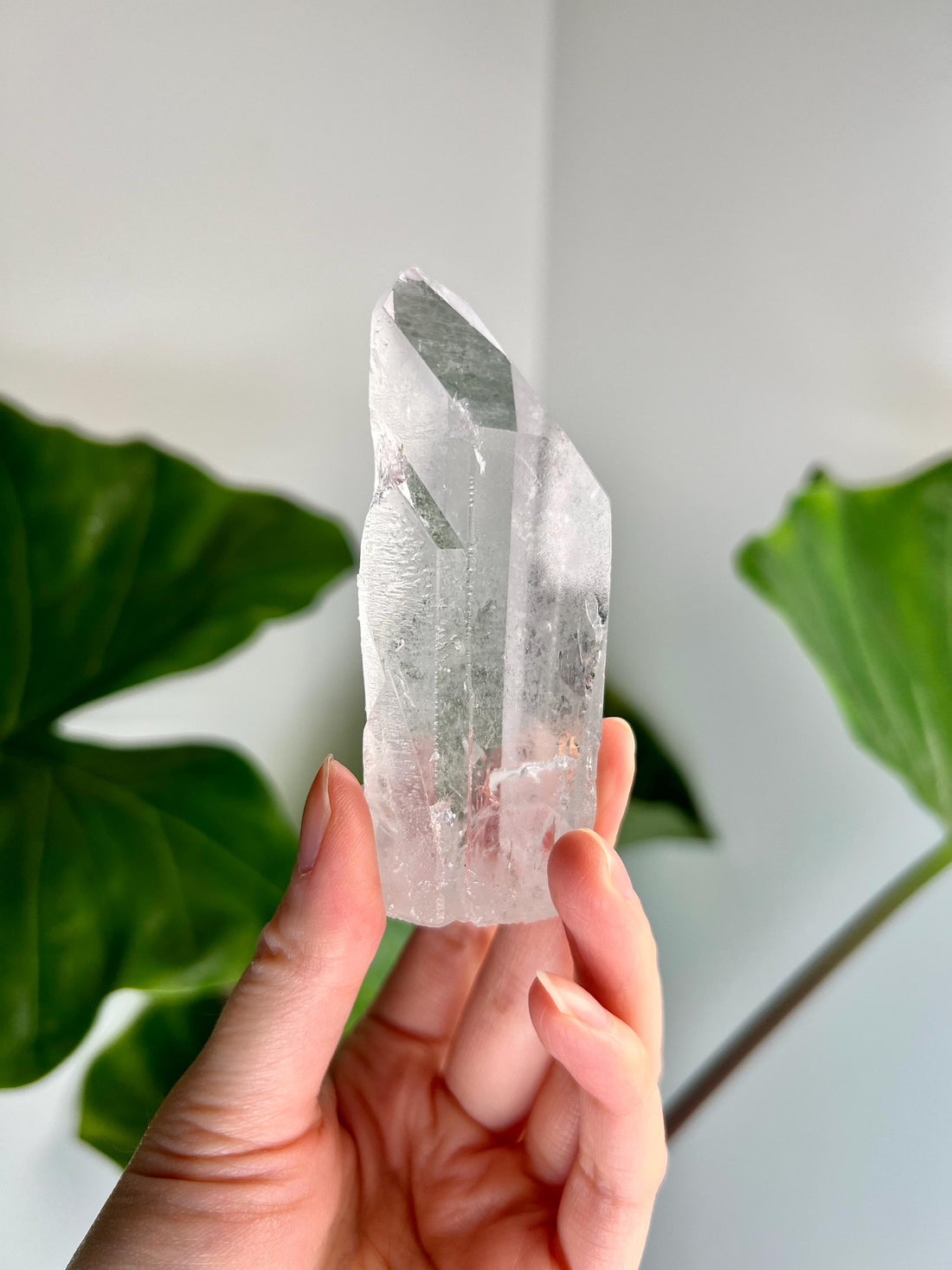 Grade A+ Starbrary Quartz – Unique Glyphs, Record Keepers, and Galactic Wisdom, from Tomás Gonzaga, Minas Gerais, Brazil RQG24, 118g
