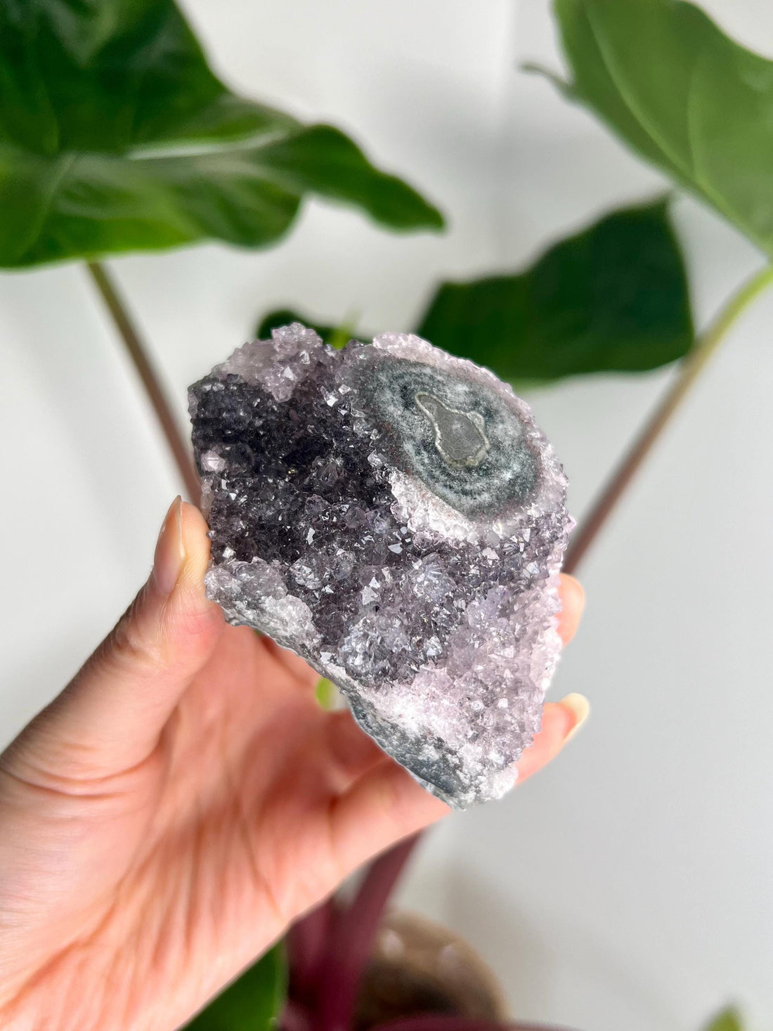 Grade AA Natural Amethyst Flower Stalactite from Uruguay – Unique Formation, High-Energy Healing Crystal - US21, 224g