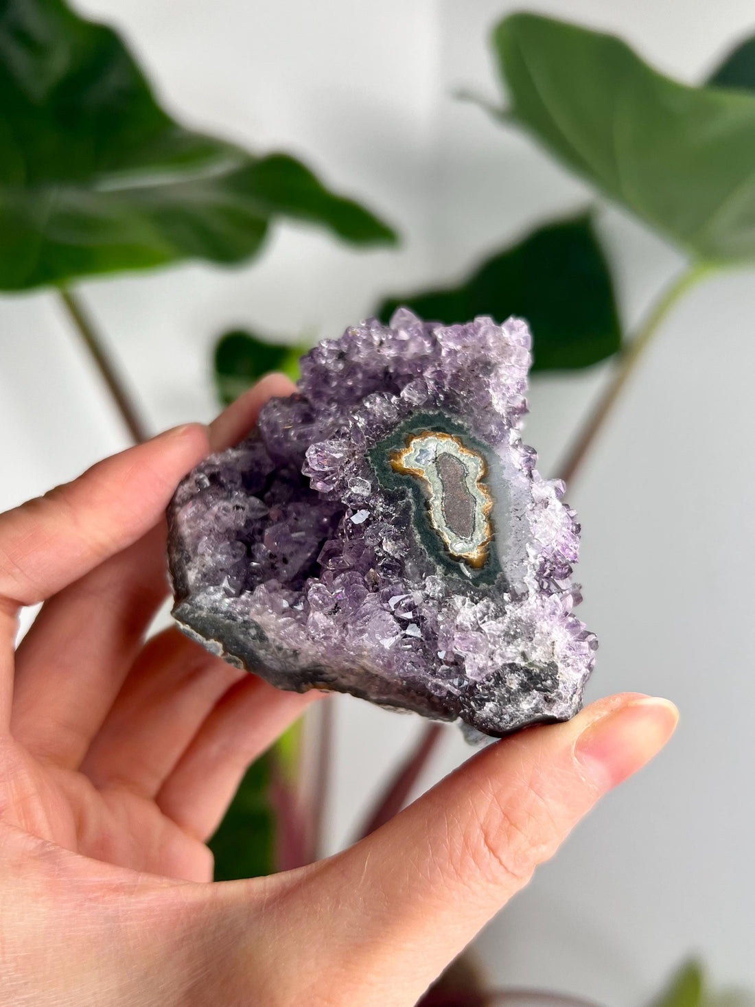 Grade AA Natural Amethyst Flower Stalactite from Uruguay – Unique Formation, High-Energy Healing Crystal - US22, 154g