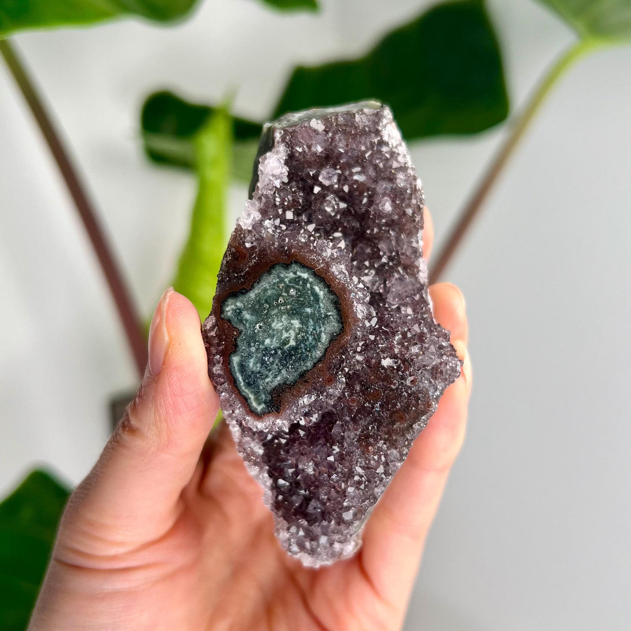 Grade AA Natural Amethyst Flower Stalactite from Uruguay – Unique Formation, High-Energy Healing Crystal - US23, 173g