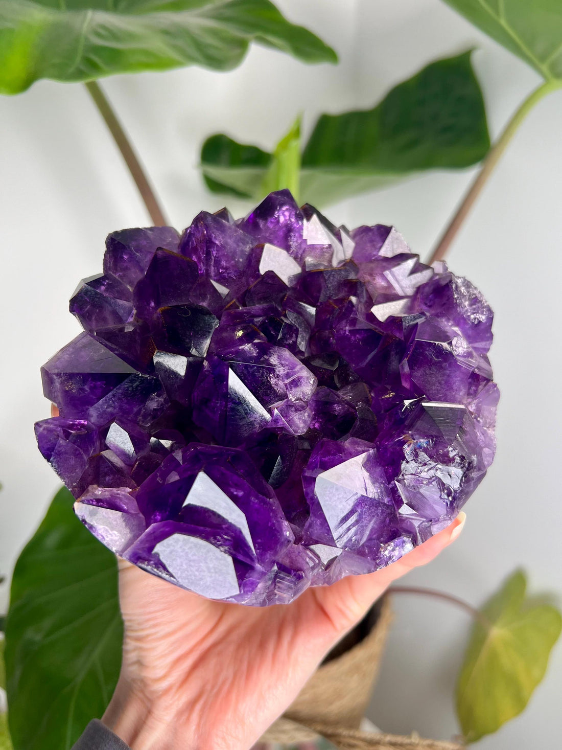 Natural Amethyst Open Geode Sphere with Rutile Phantom, Agate, Quartz, and Jasper –  2.114kg Discounted for minor injury