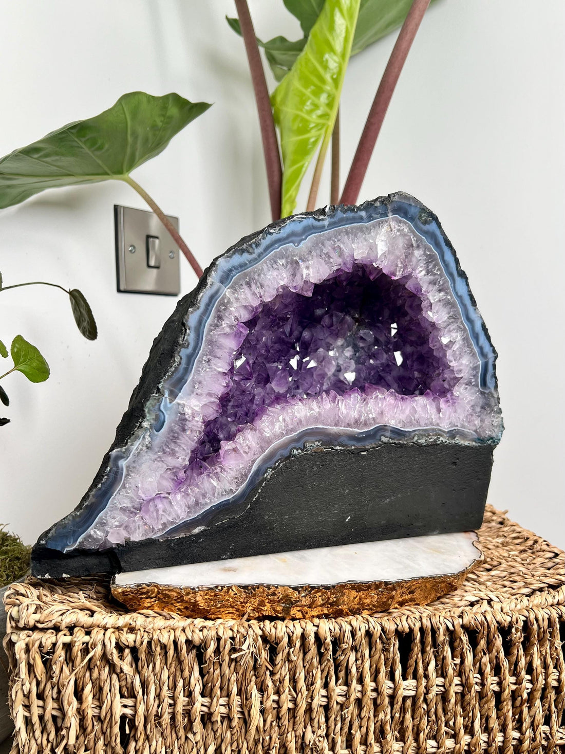 Grade AA Natural Brazilian Amethyst Geode with Lace Agate Lining – Statement Crystal, Akashic Record Channel, 8.7kg