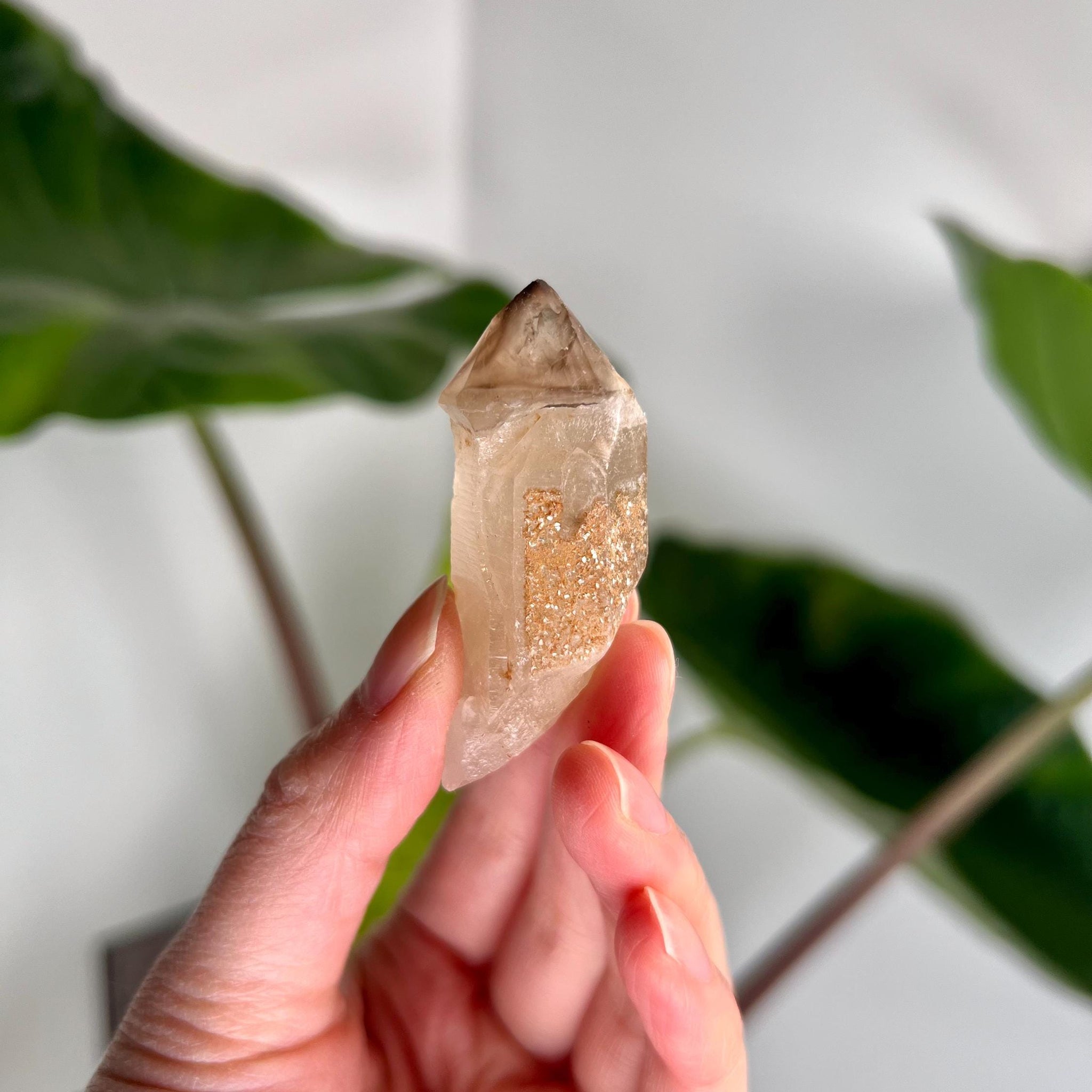 Grade AA Natural Adaptogenic BG3 Citrine Scepter Specimen - with smoky phantom and iron inclusion from Piaui, Brazil ACC21, 26g
