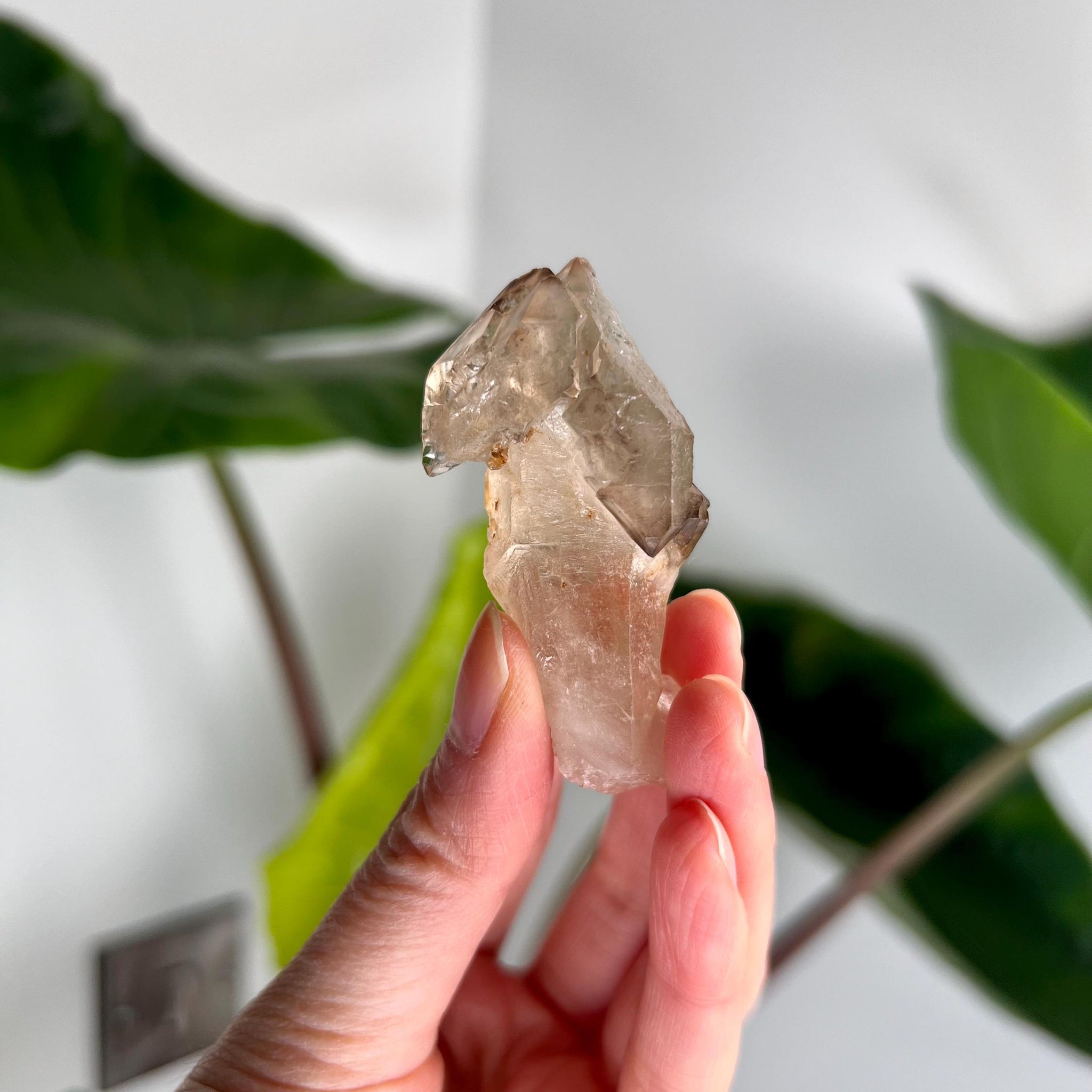 Grade AA Natural Adaptogenic BG3 Citrine Scepter Specimen - with smoky phantom and iron inclusion from Piaui, Brazil ACC25, 36g