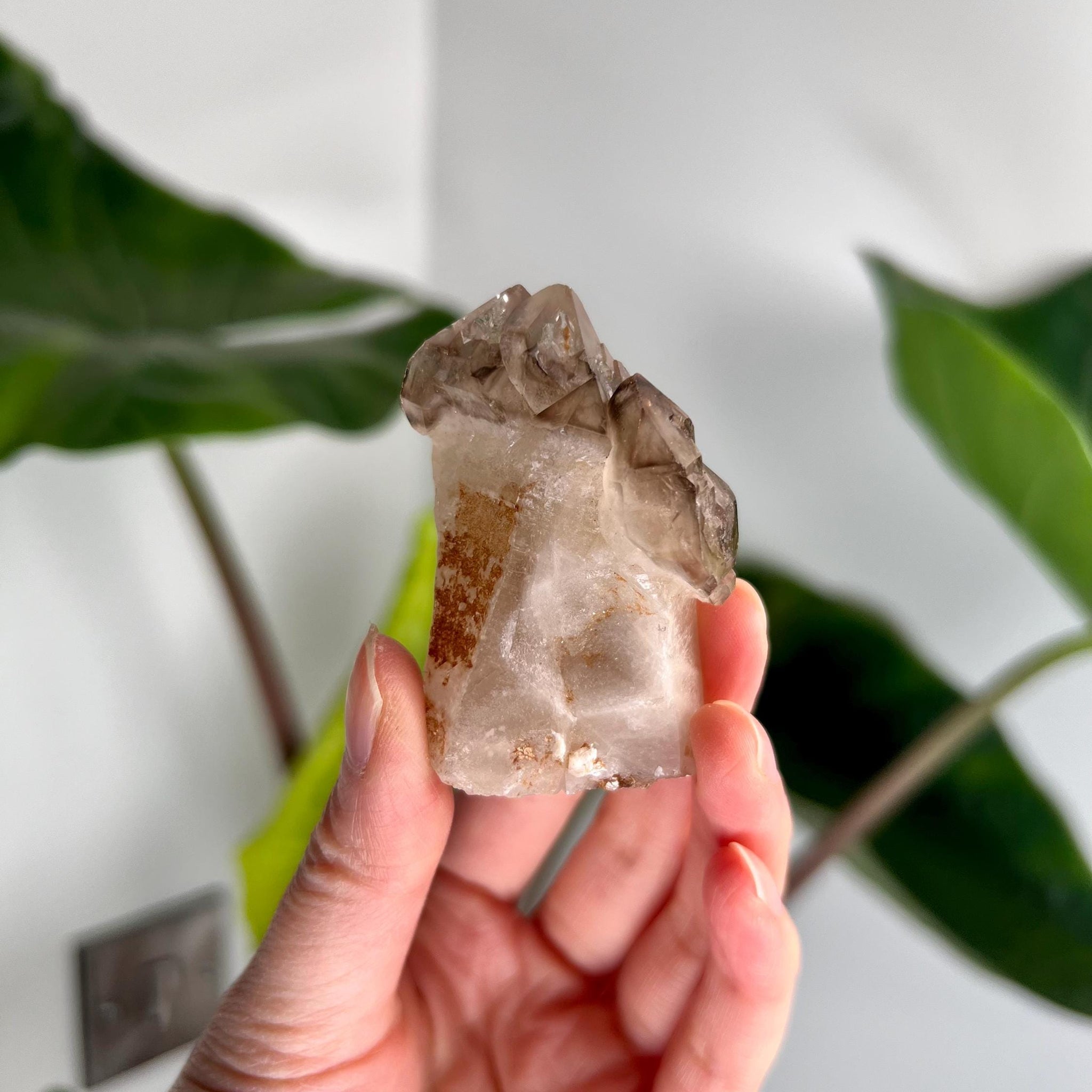 Grade AA Natural Adaptogenic BG3 Citrine Scepter Specimen with KEY - with smoky phantom and iron inclusion from Piaui, Brazil ACC26, 64g