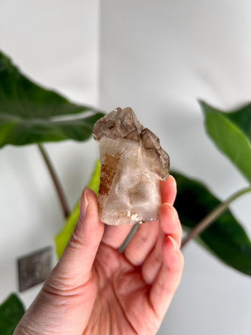Grade AA Natural Adaptogenic BG3 Citrine Scepter Specimen with KEY - with smoky phantom and iron inclusion from Piaui, Brazil ACC26, 64g