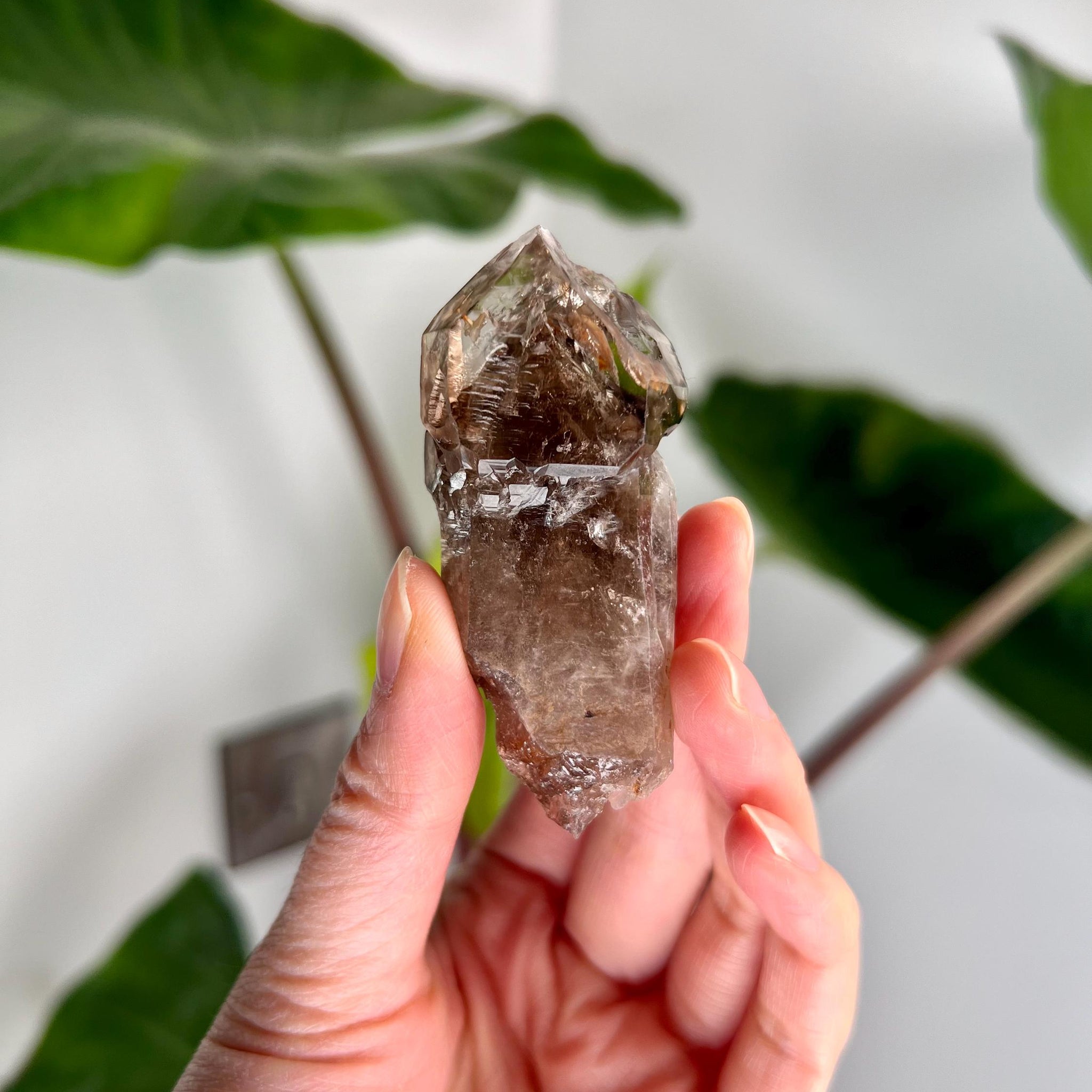 Grade AA Natural Adaptogenic BG3 Citrine Scepter Specimen - with smoky phantom and iron inclusion from Piaui, Brazil ACC28, 54g