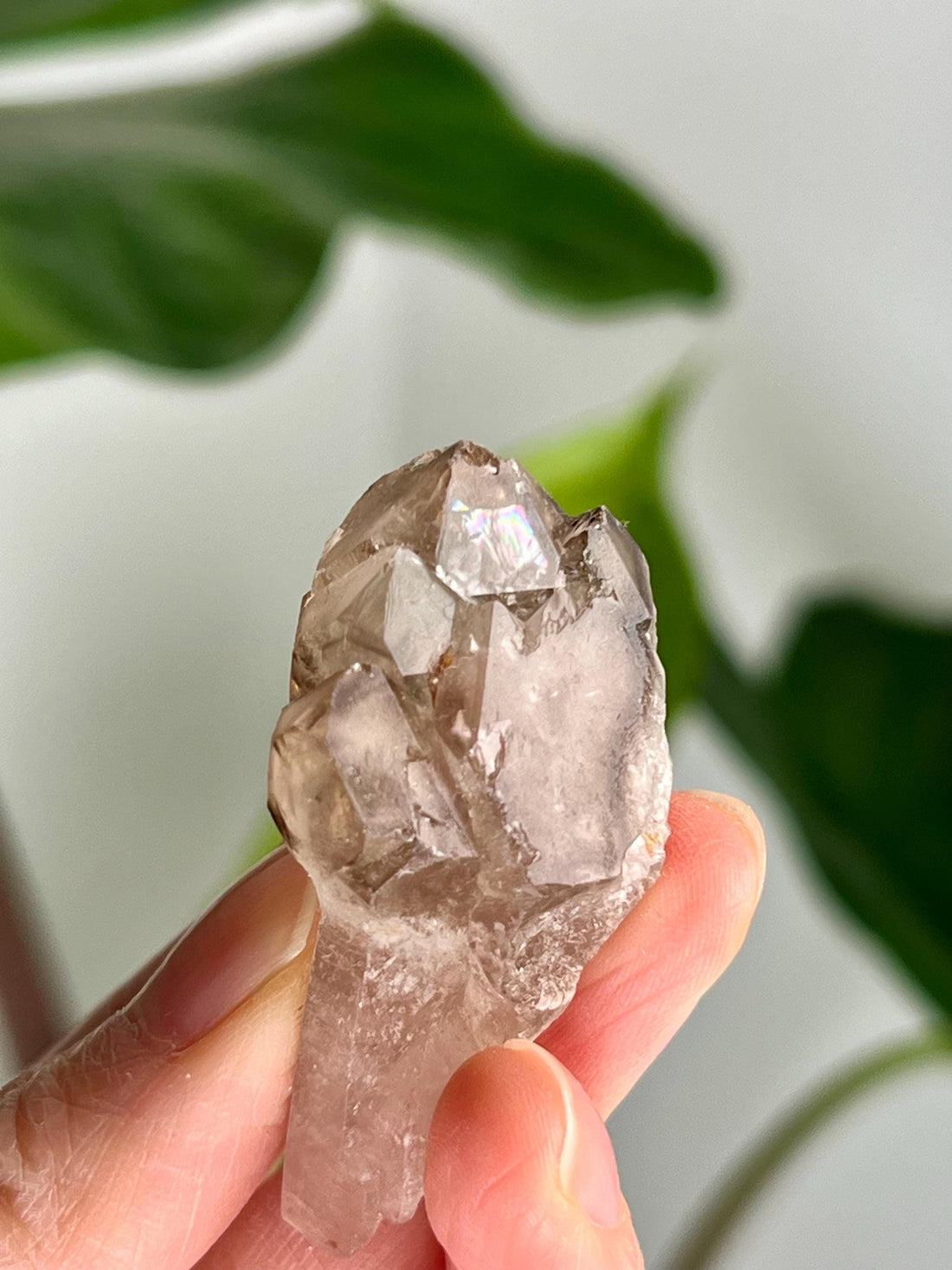 Grade AA Natural Adaptogenic BG3 Citrine Scepter Specimen - with smoky phantom and iron inclusion from Piaui, Brazil ACC44, 21g