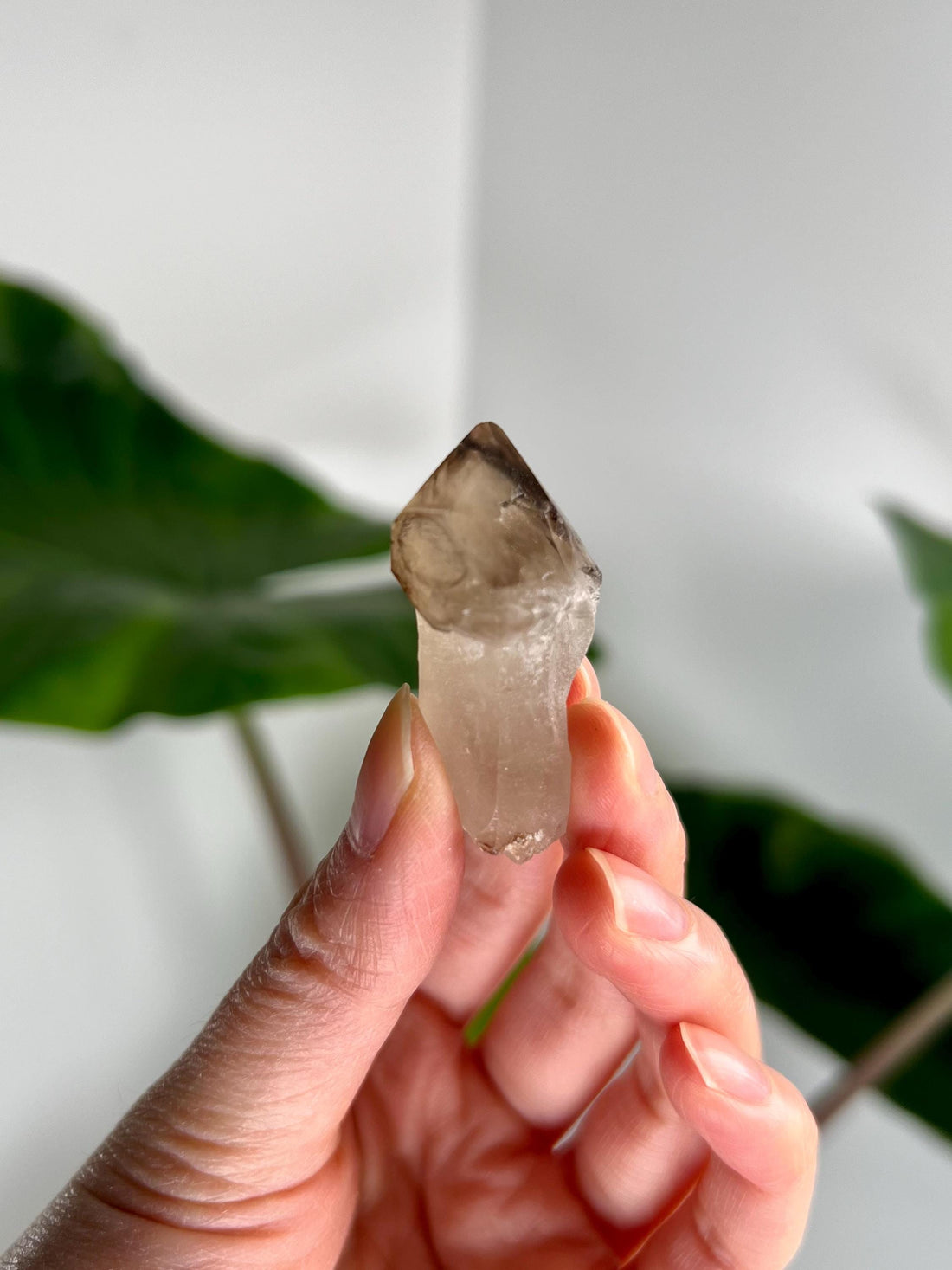 Grade AA Natural Adaptogenic BG3 Citrine Scepter Specimen - with smoky phantom and iron inclusion from Piaui, Brazil ACC47, 15g