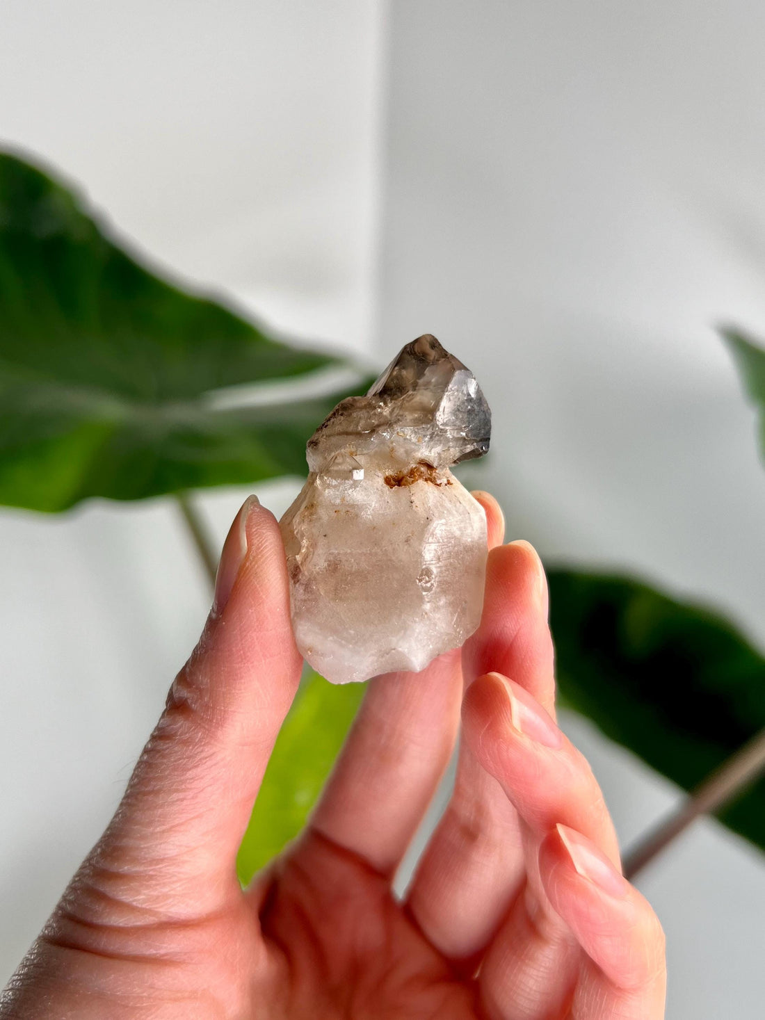 Grade AA Natural Adaptogenic BG3 Citrine Scepter Specimen - with smoky phantom and iron inclusion from Piaui, Brazil ACC48, 26g