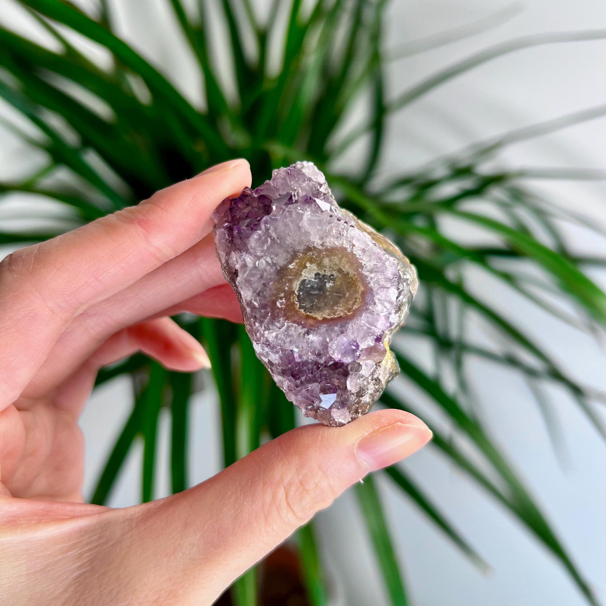 Grade A Natural Amethyst Flower Stalactite from Uruguay – Unique Formation, High-Energy Healing Crystal - US38, 58g