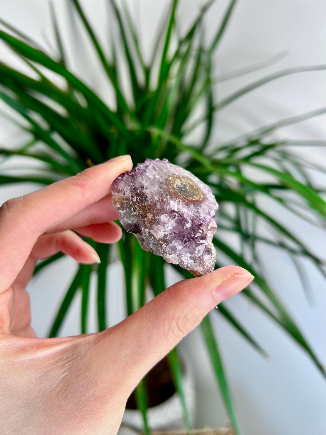 Grade A Natural Amethyst Flower Stalactite from Uruguay – Unique Formation, High-Energy Healing Crystal - US38, 58g
