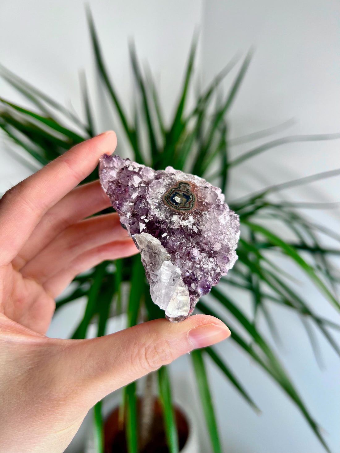 Grade AA Natural Amethyst Flower Stalactite with Calcite from Uruguay – Unique Formation, High-Energy Healing Crystal - US39, 103g