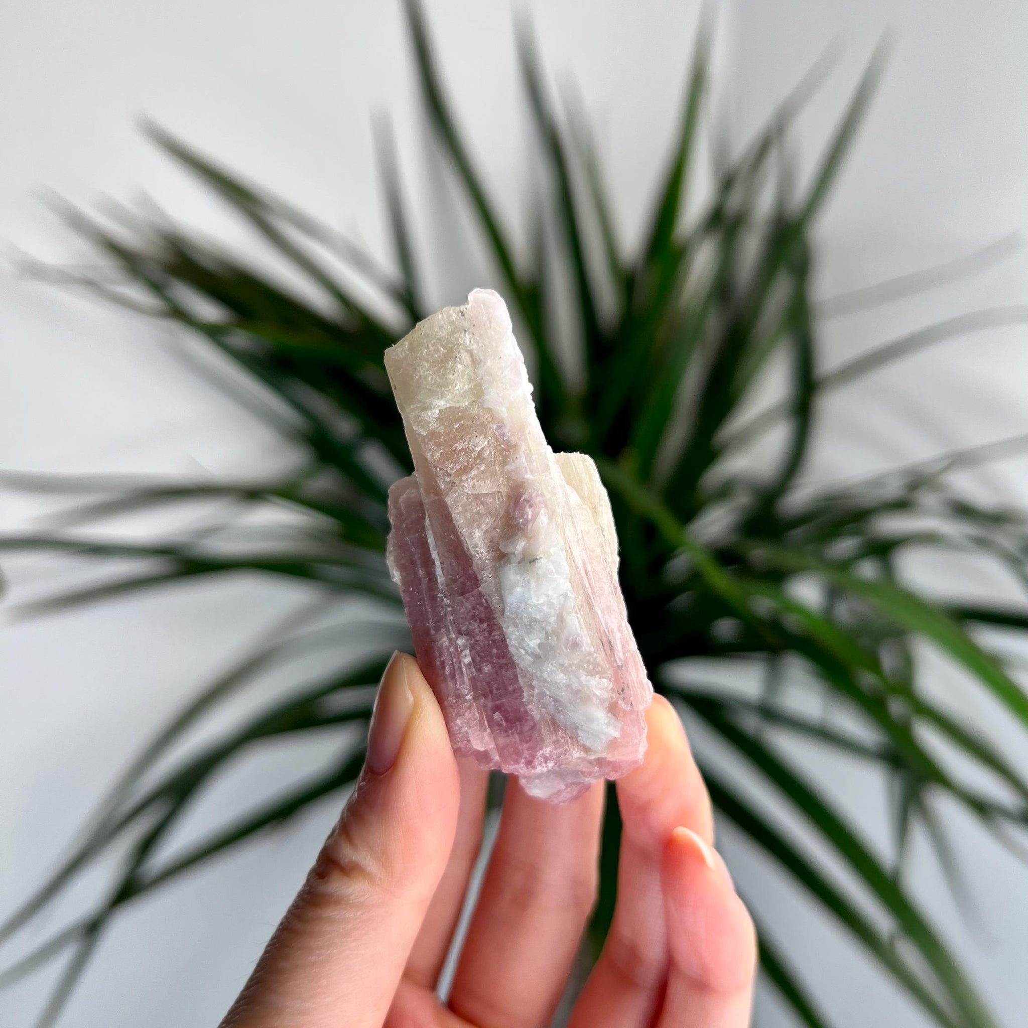 Rare Pink Tourmaline on Aquamarine with Lepidolite Inclusion – Emotional Healing and Spiritual Growth, PTL01, 48g